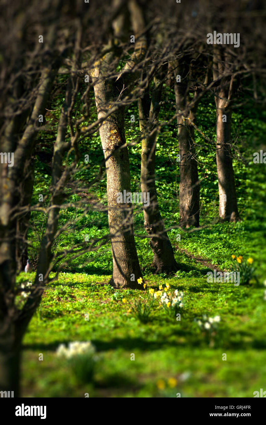 Marine Park Süd, Frühling Stockfoto