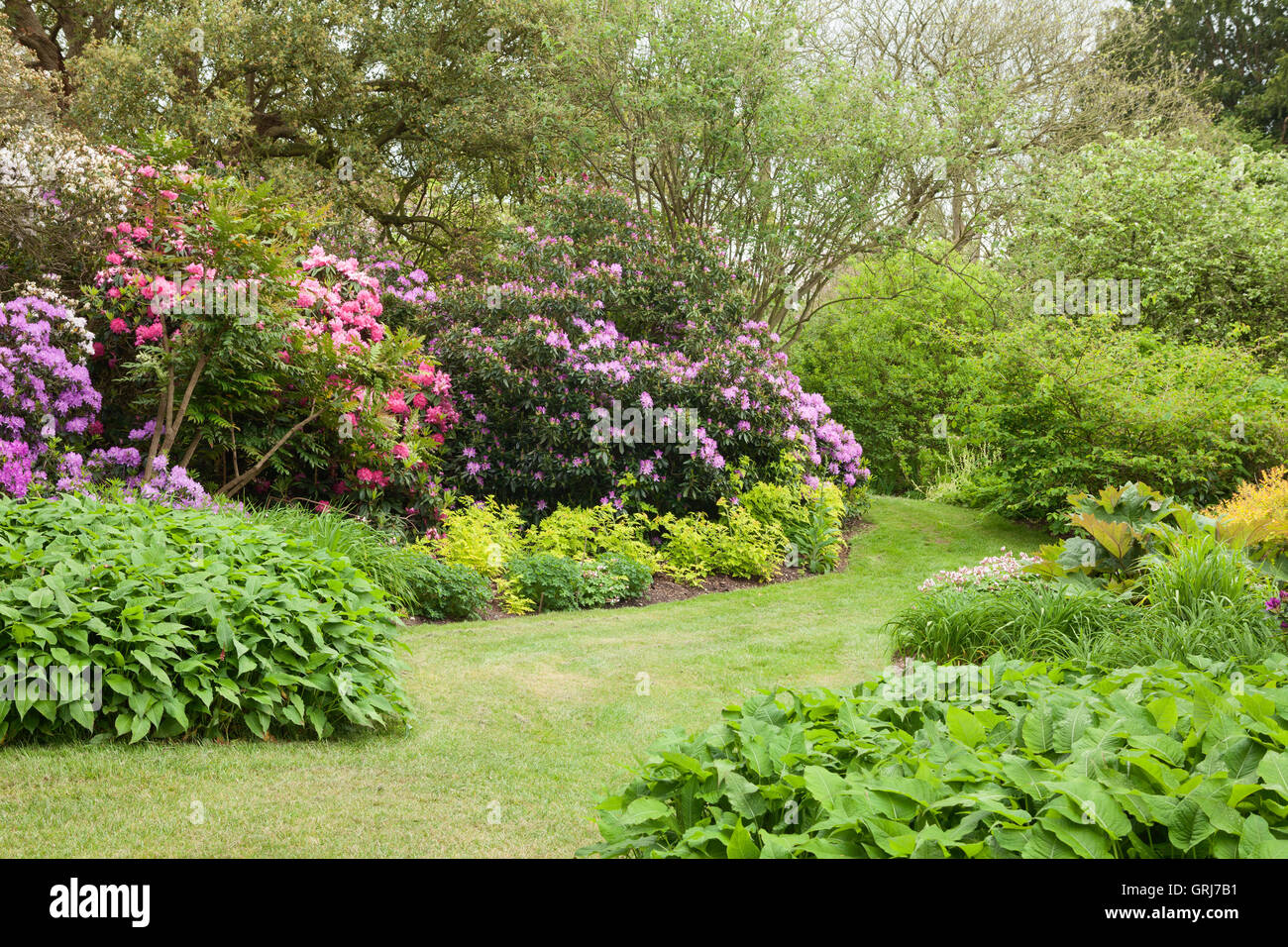 Doddington Hall und Gärten, Lincolnshire, UK. Iris im Westen Garten während Iris Woche. Frühling, Mai 2016. Stockfoto