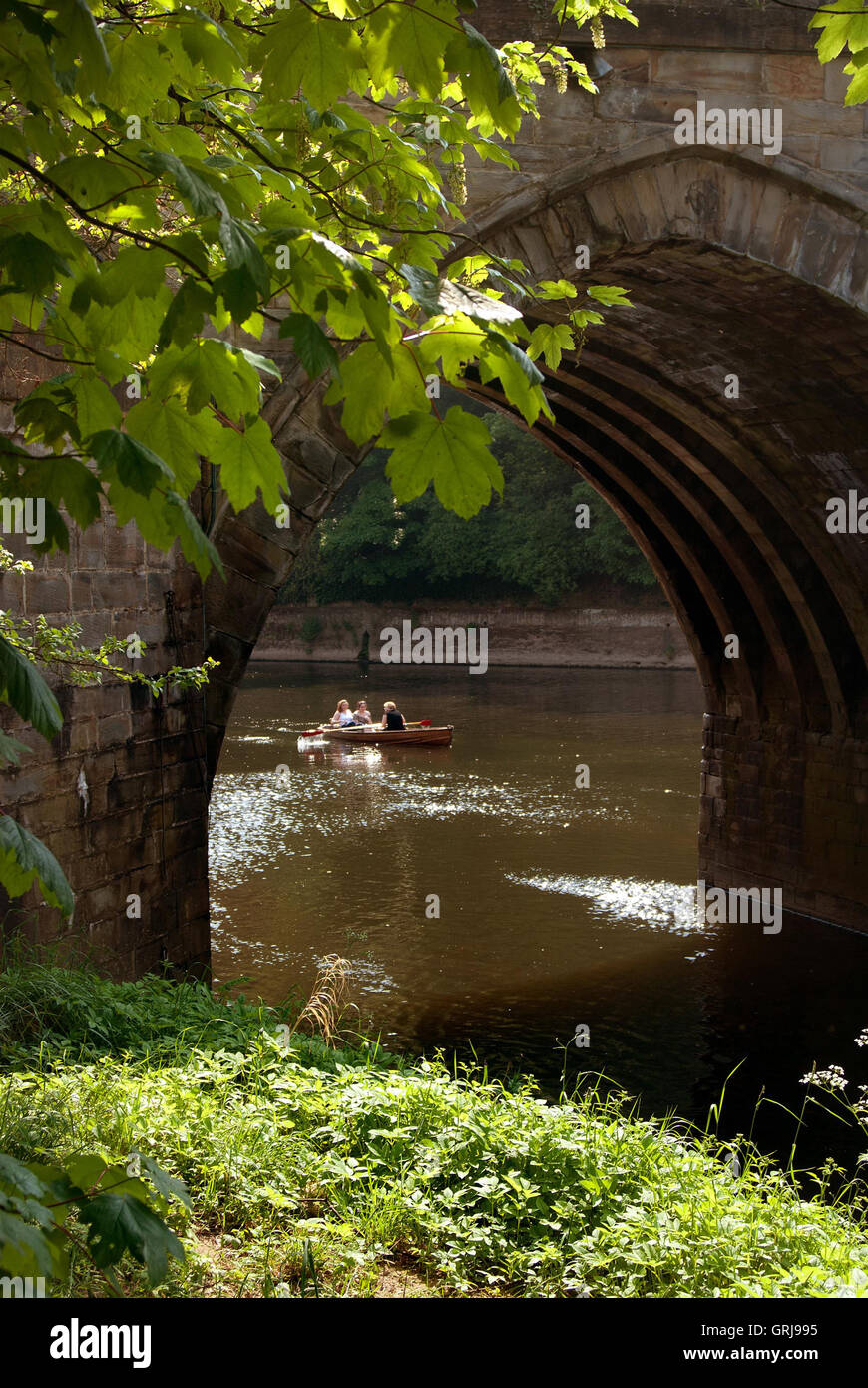 Rudern auf dem Fluss Wear, Durham Stockfoto