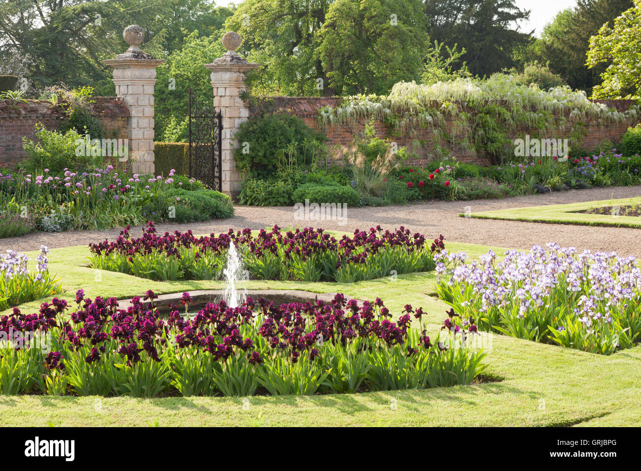 Doddington Hall und Gärten, Lincolnshire, UK. Iris im Westen Garten während Iris Woche. Frühling, Mai 2016. Stockfoto