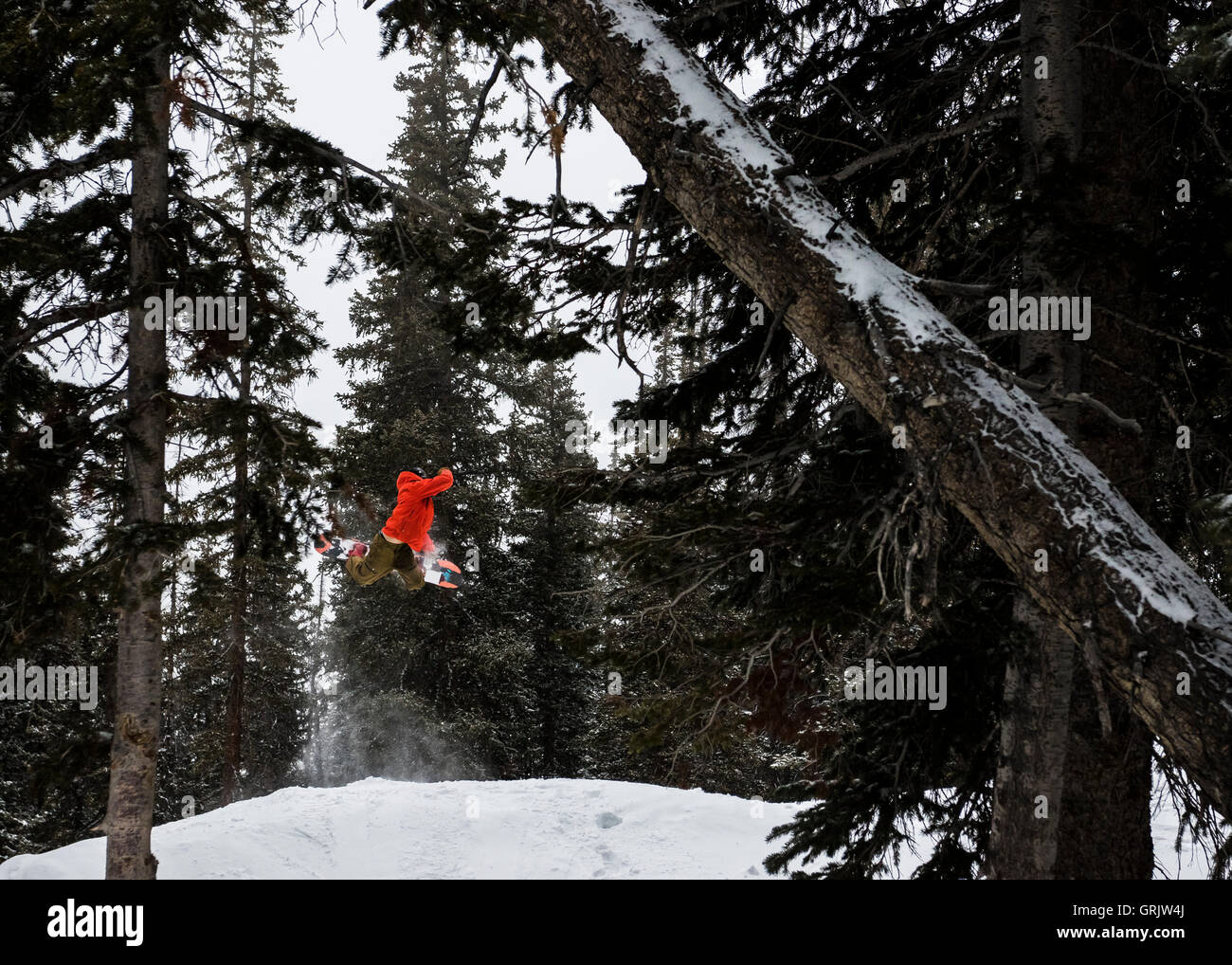 Snowboarder Stockfoto