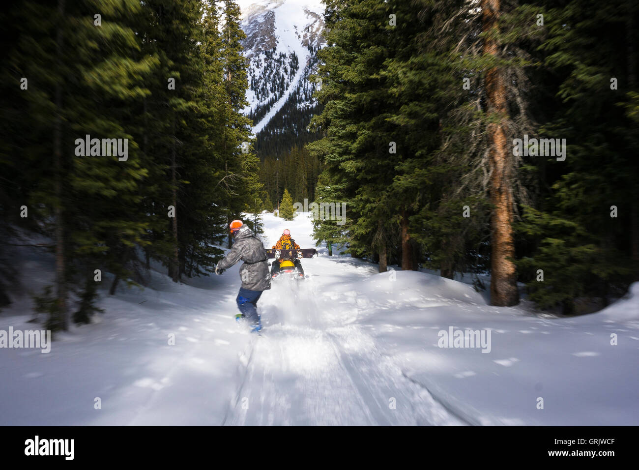 Snowboarder, die immer hinter Schneemobil durch Wald gezogen Stockfoto