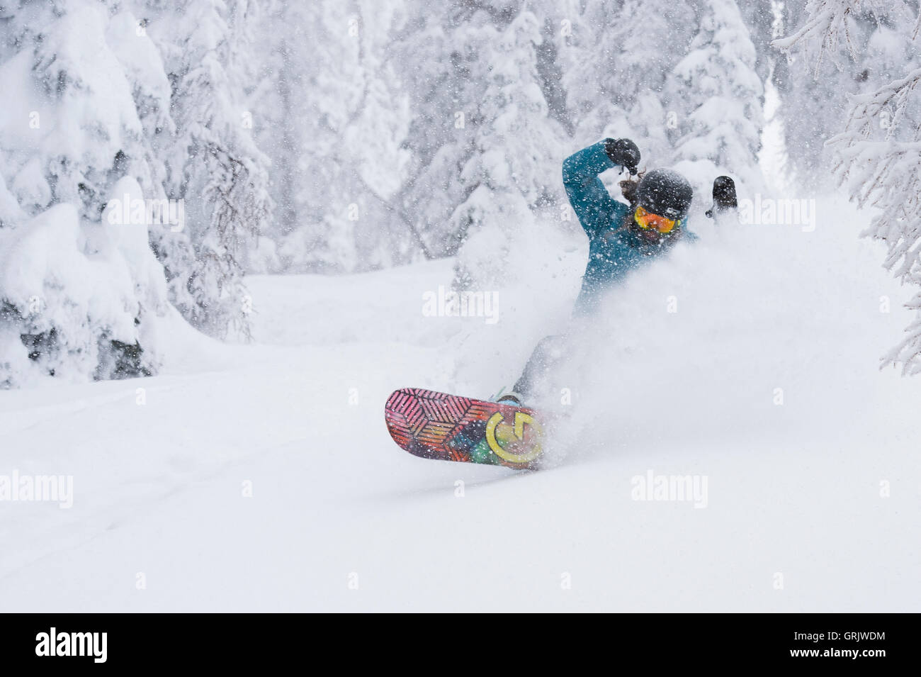 Profi-Snowboarder Sandra Hillen tun einen Schrägstrich im powder Stockfoto
