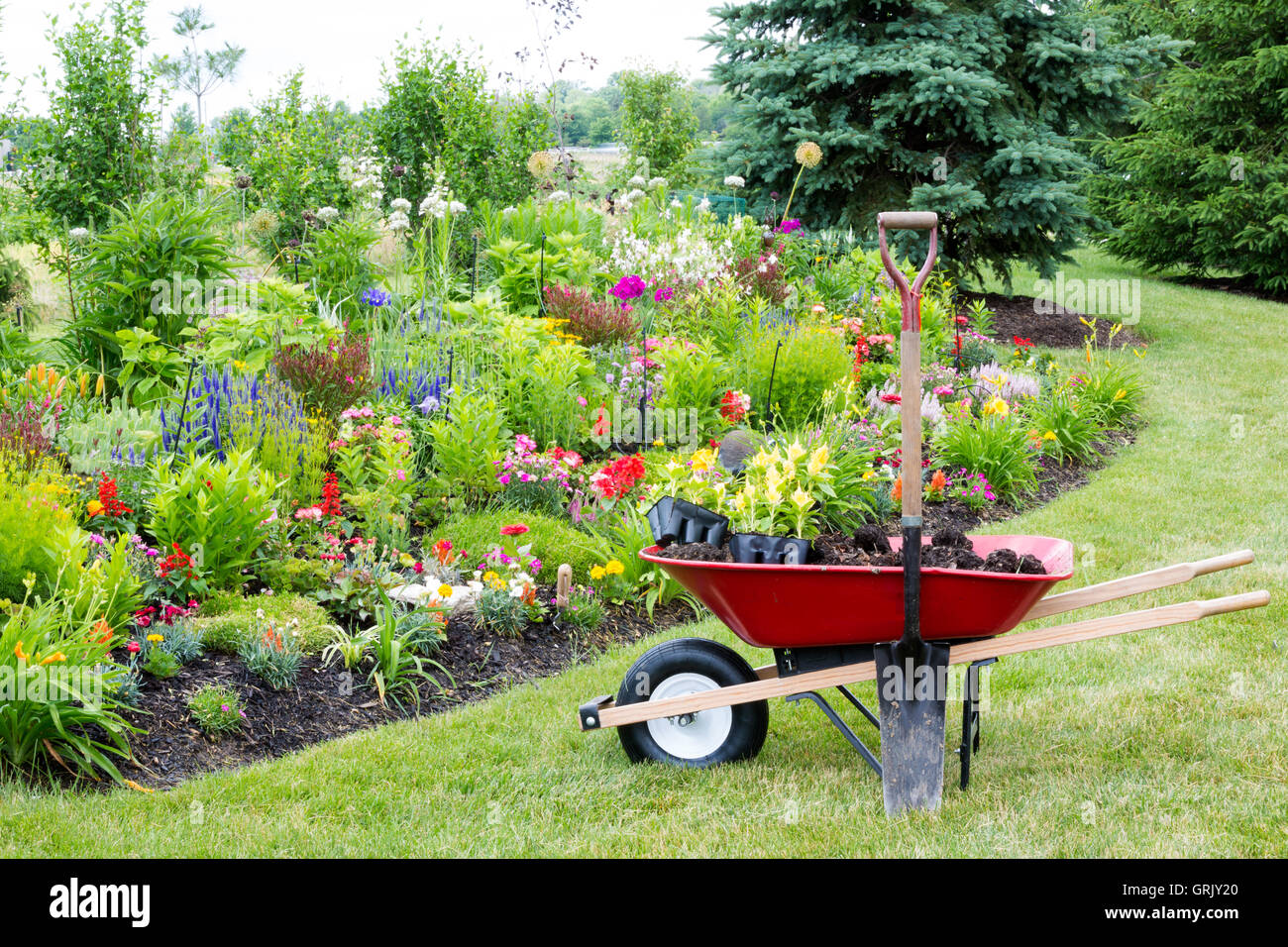Arbeiten Sie auf dem Hof Landschaftsbau Garten mit einem roten Schubkarre stehen auf einer gepflegten Wiese neben einem neuen Flowerbed getan wird Stockfoto
