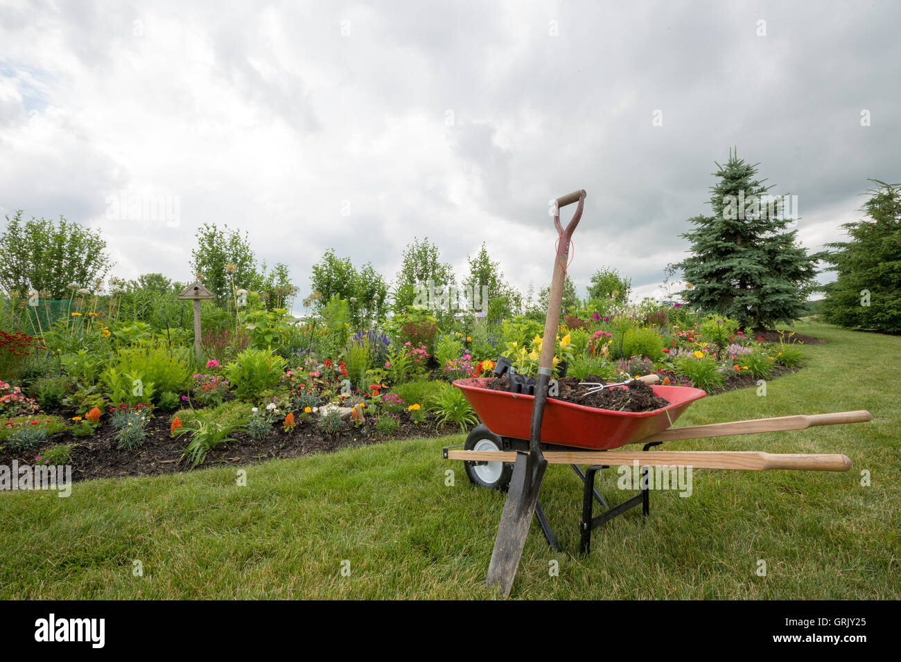 Rote Schubkarre mit Schaufel in den Boden im Garten getrieben Stockfoto