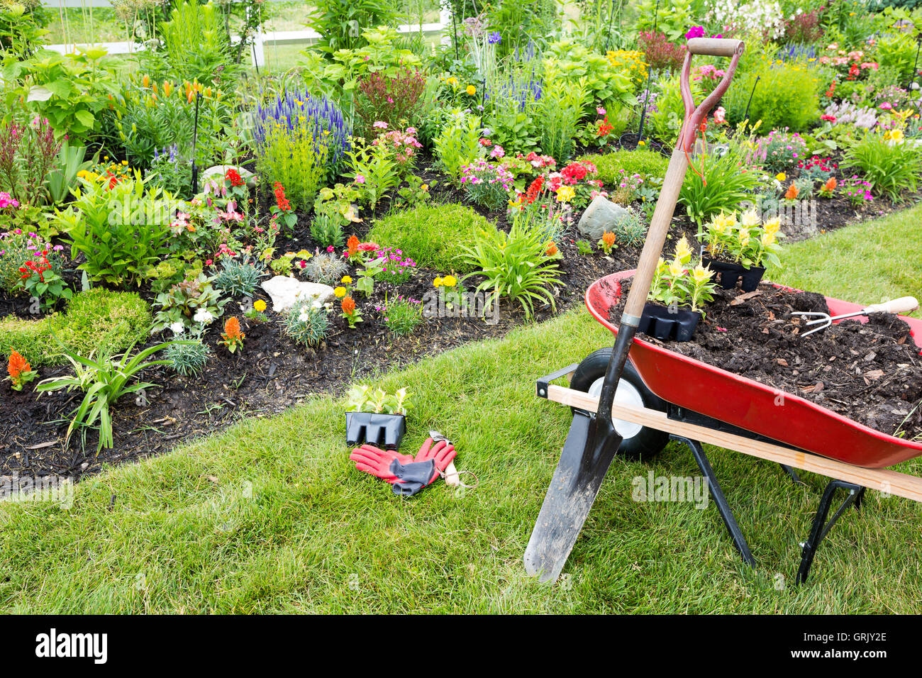 Gartengeräte bereit für den Einsatz in einem Garten mit schönen Pflanzen und Blumen Stockfoto