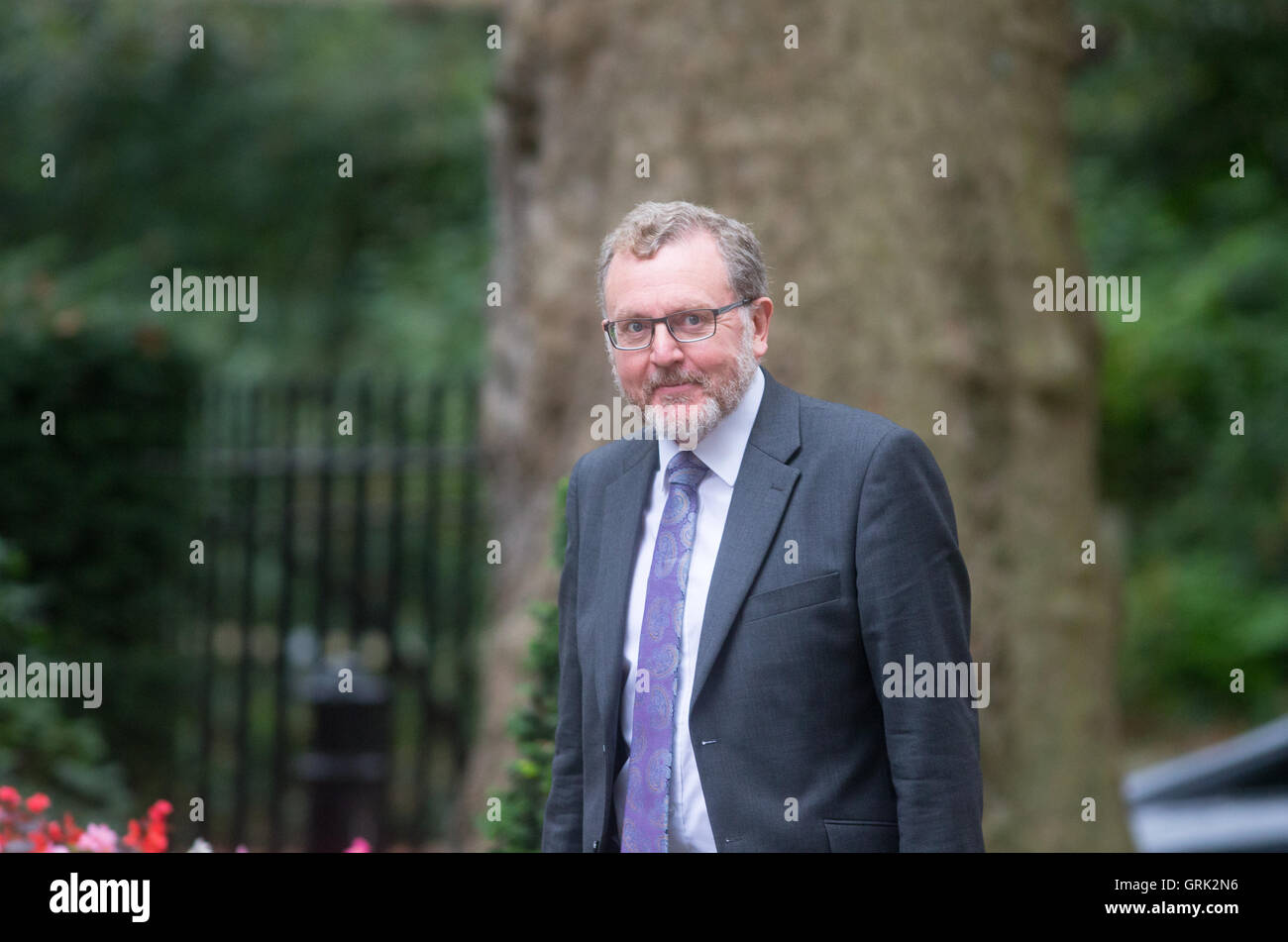 David Mundell, Staatssekretär für Schottland, kommt in der Downing Street für eine Kabinettssitzung Stockfoto