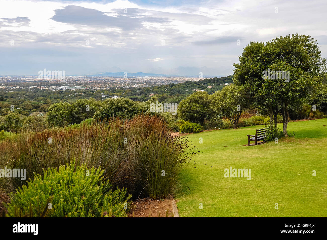 Kirstenbosch National Botanical Garden am Fuße des Tafelbergs in Kapstadt, Südafrika. Stockfoto