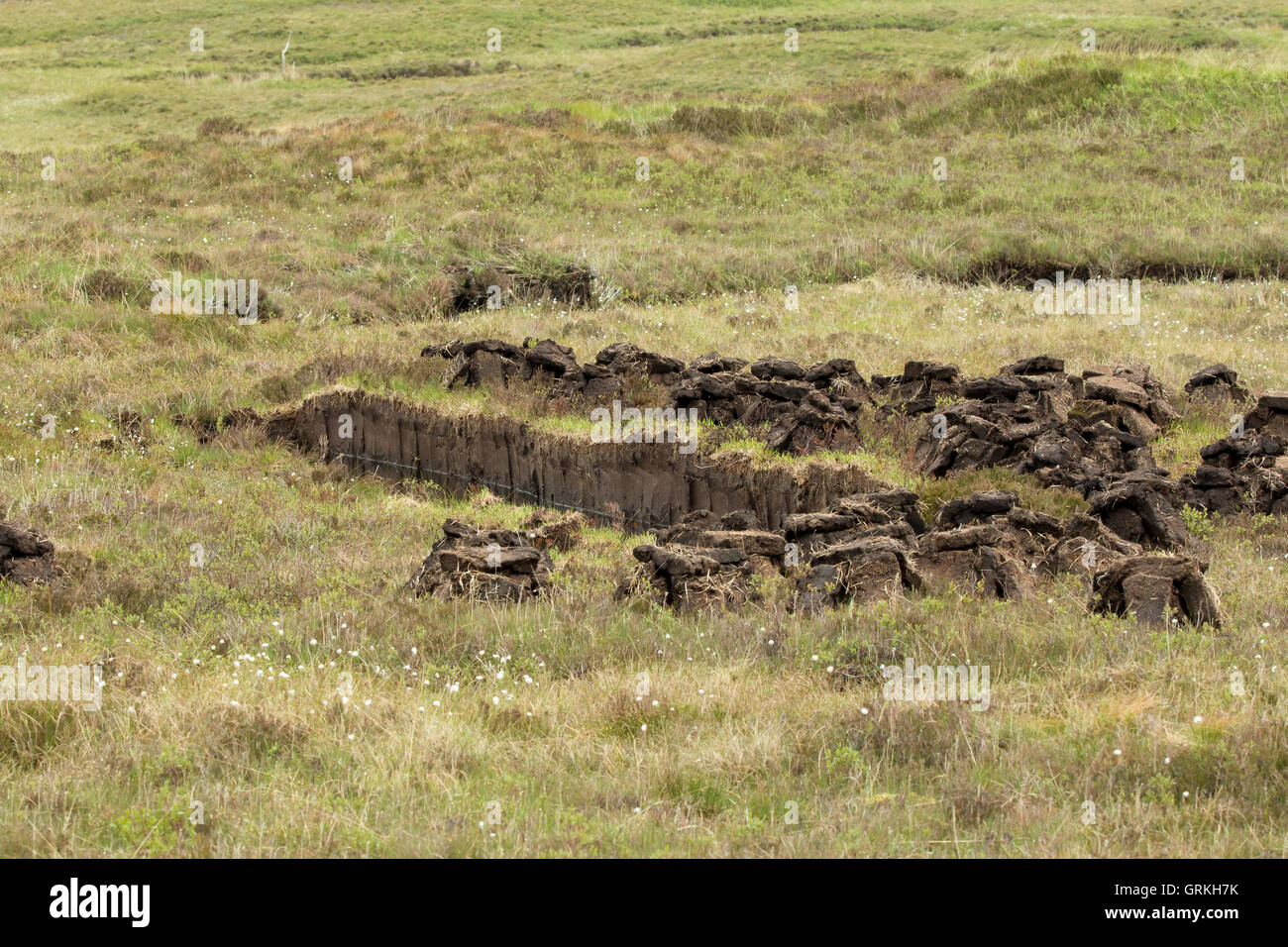 Torf Schneidbereich auf moorland Stockfoto