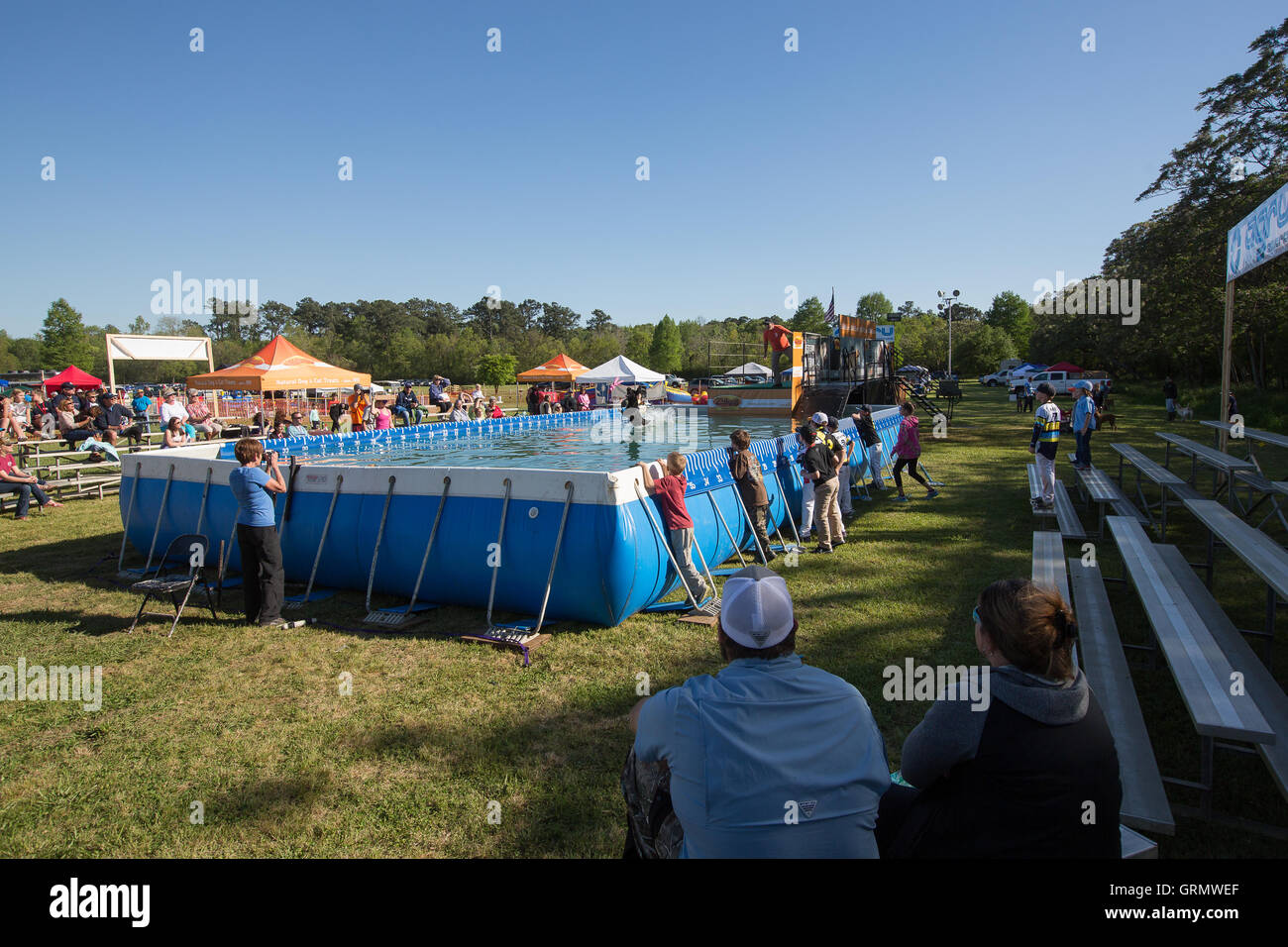 Dock-Hund Springprüfung in Charleston, South Carolina. Hunde können bis zu 30 Fuß aus dem Dock springen. Stockfoto