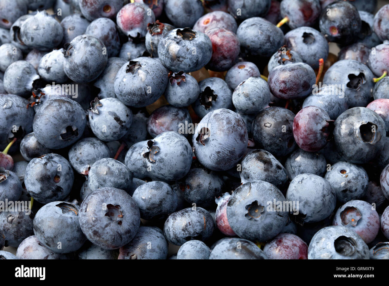 Nahaufnahme Bild der leckeren Blaubeeren Hintergrundtextur. Stockfoto