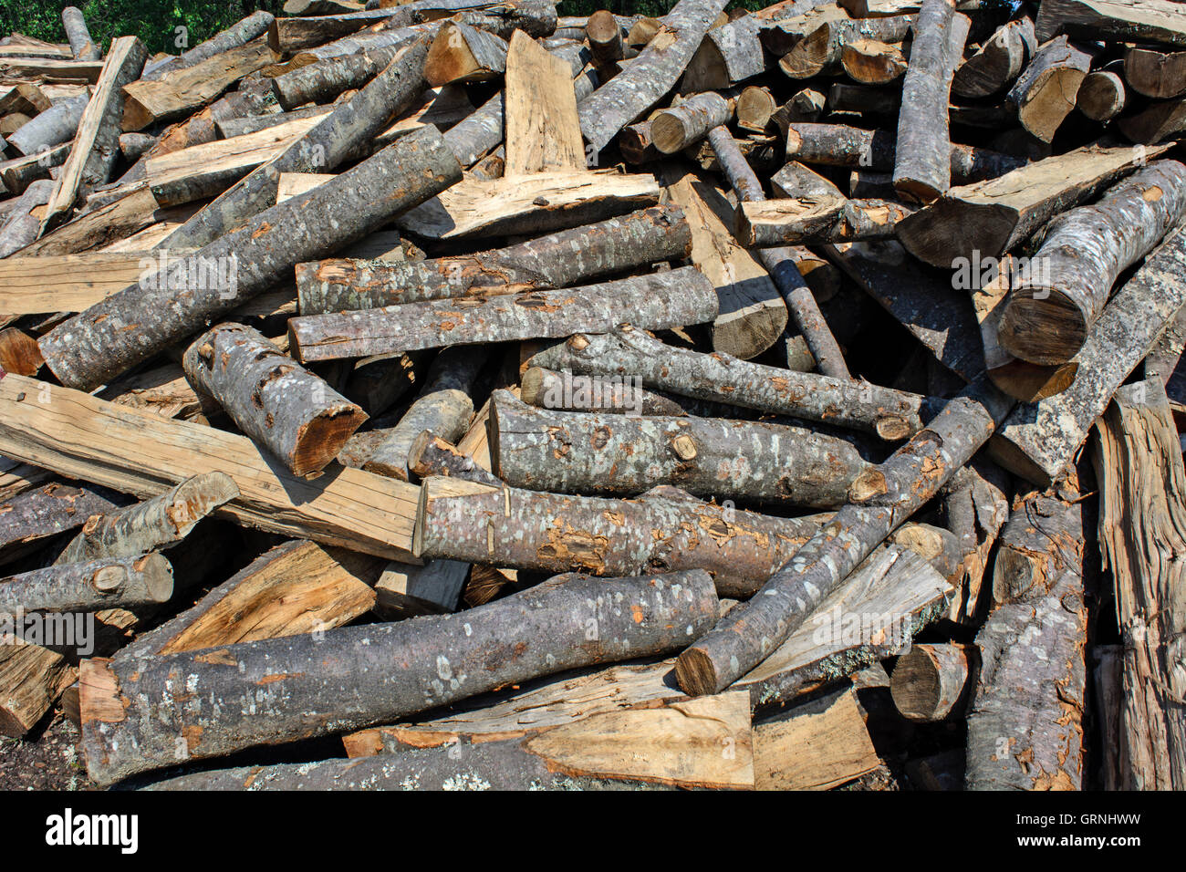 Holzschnitt auf dem Betriebshof des Protokolls und zum Verkauf bereit. Stockfoto