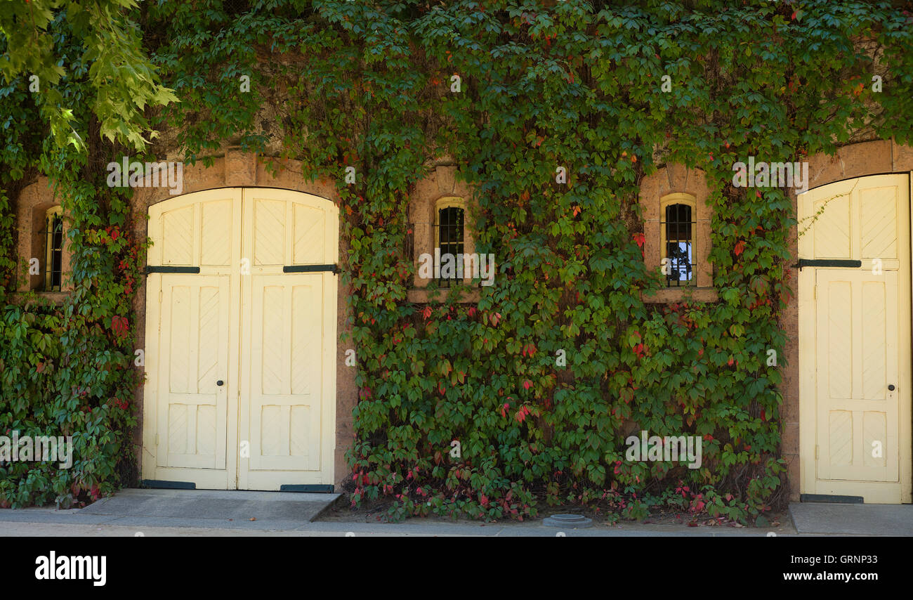 Ivy & Türen sind auf der Vorderseite das historische Weingut Inglenook gesehen. Stockfoto