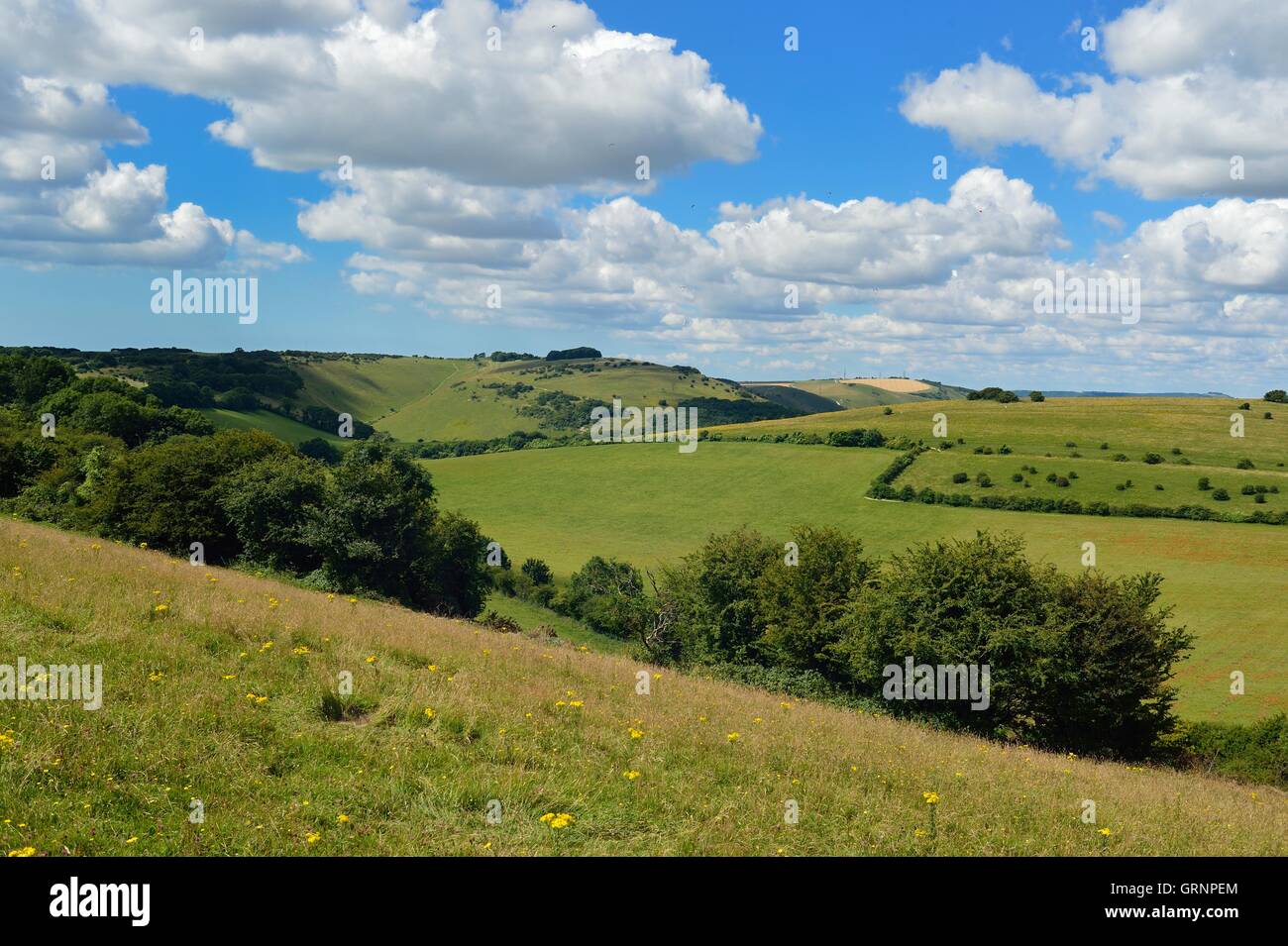 Blick über den South Downs, Devils Dyke aus dem Osten Stockfoto