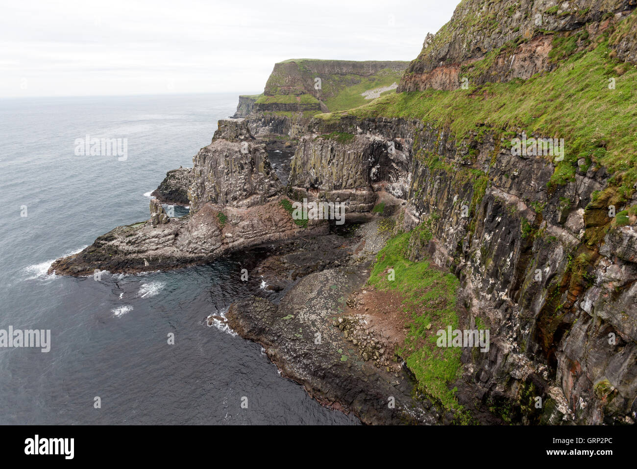 Dreizehenmöwe, Rissa Tridactyla, Kolonie in den Felsen des Rathlin Island, Nordirland, Stockfoto