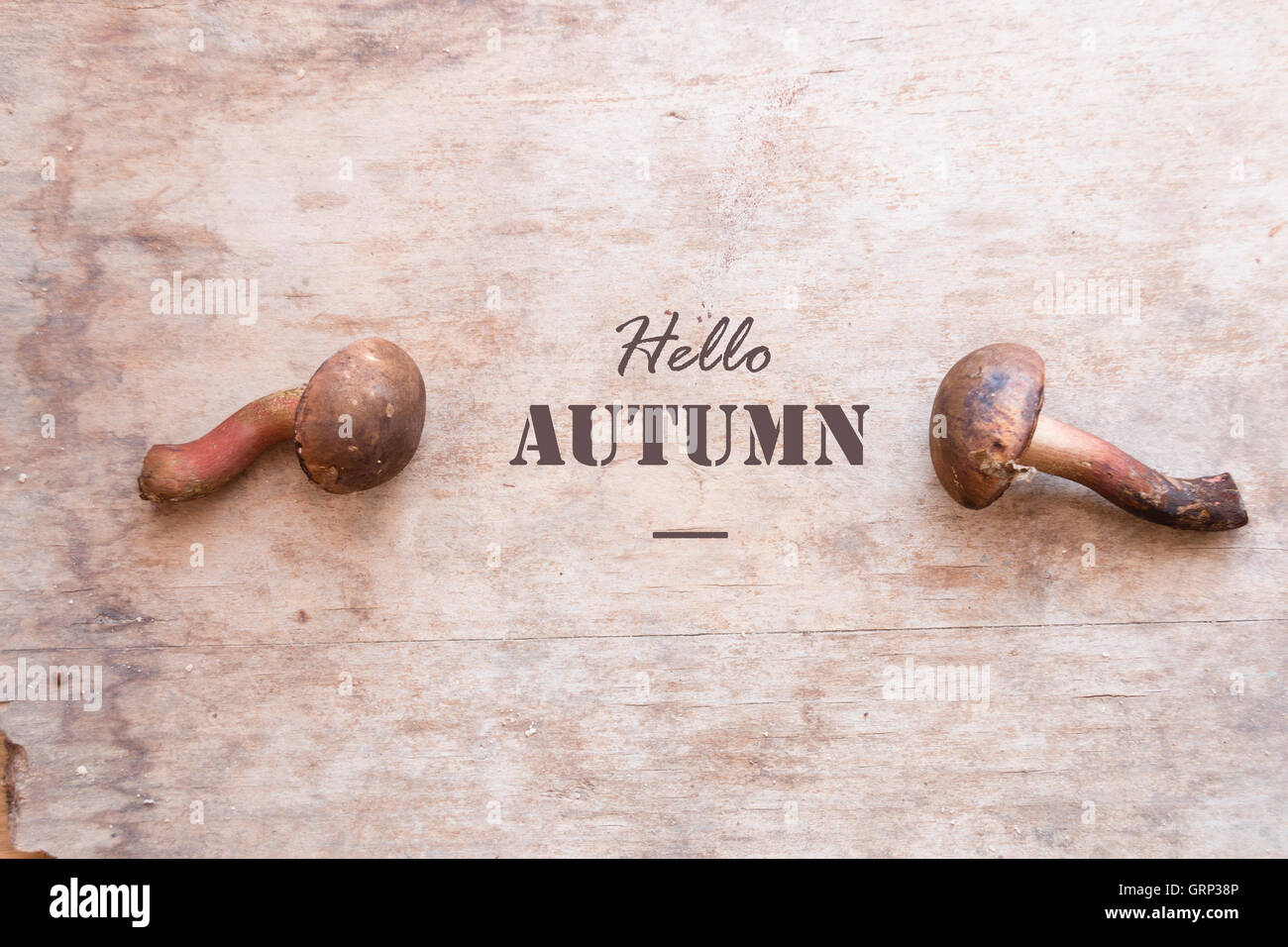 Hallo Herbst Idee Pilze und text Stockfoto