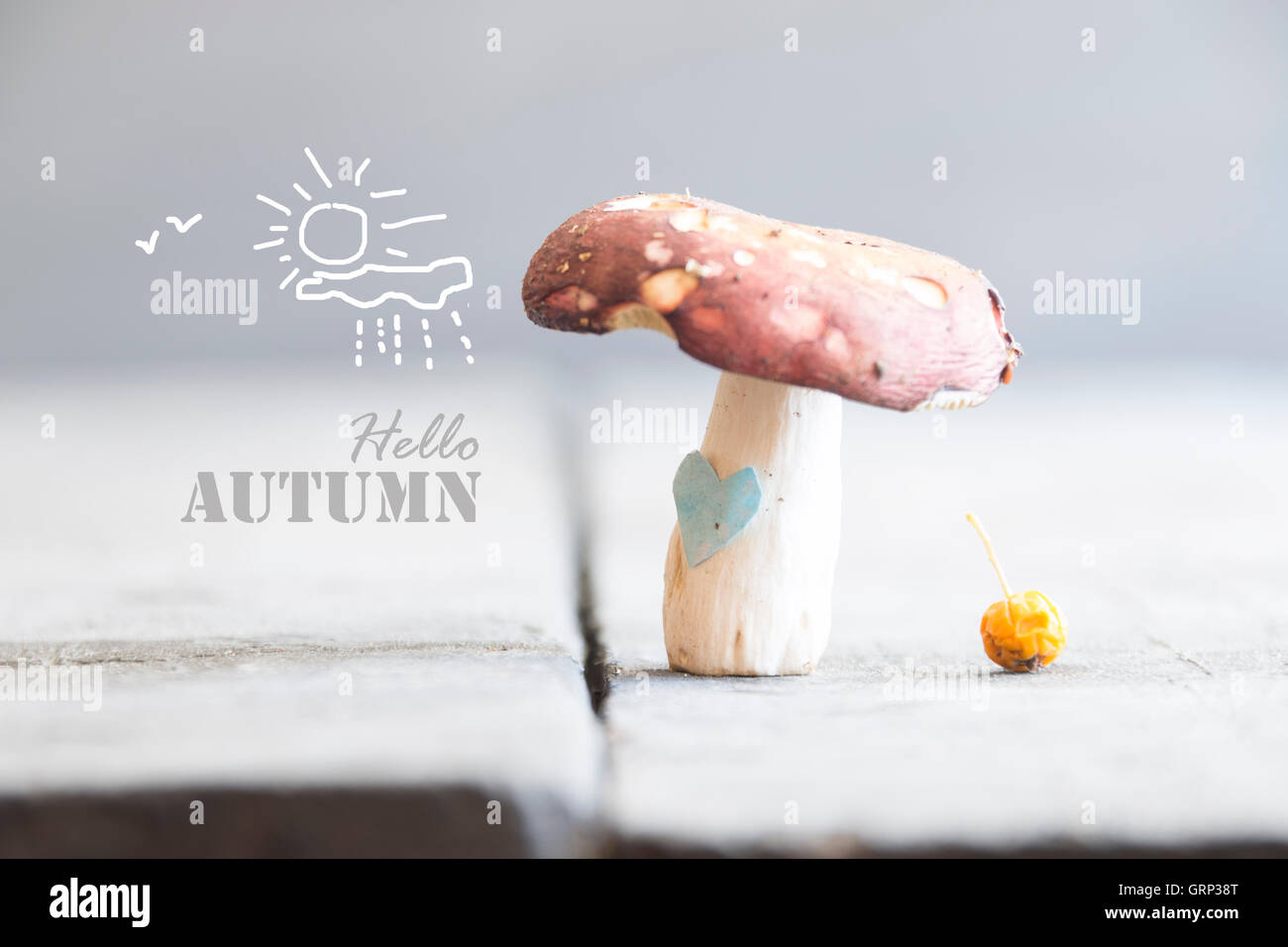 Hallo Herbst-Idee Stockfoto