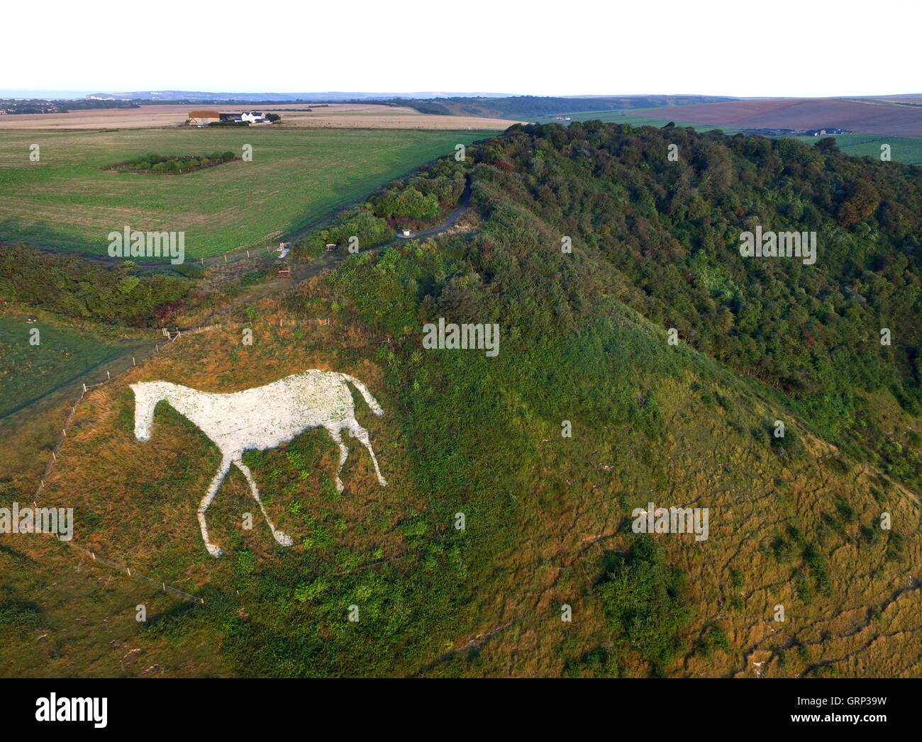 Luftaufnahme von einem weißen Kreide Pferd schneiden Sie in der Seite hoch und über Seaford, Sussex, in der South Downs National Park Stockfoto