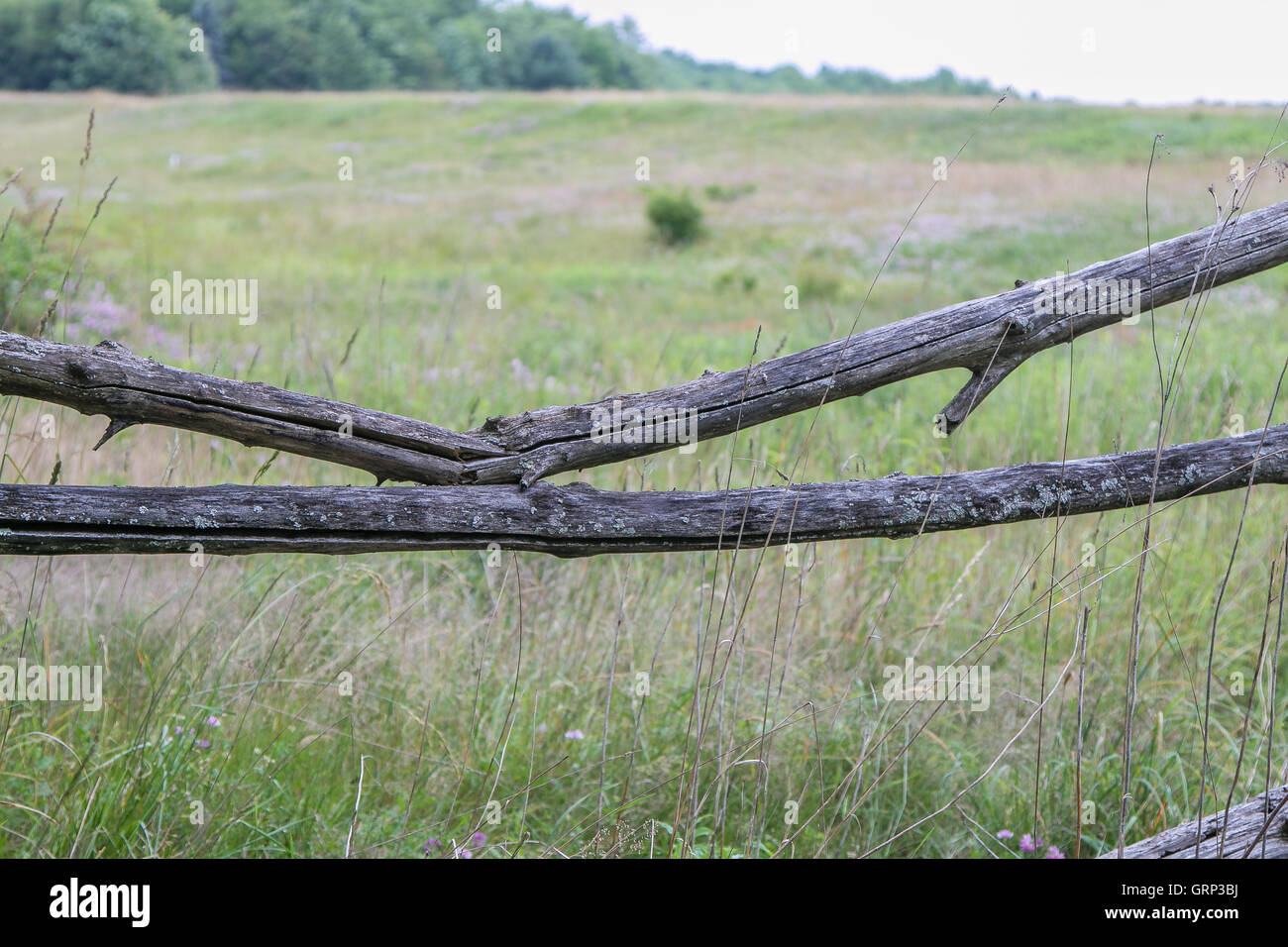 Eine gebrochene Holztor aus zwei dünnen Blockstamm an einer Kante eines Feldes Stockfoto
