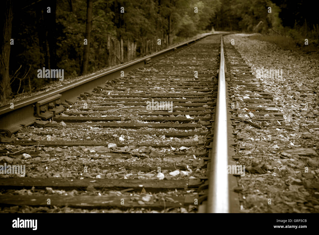 Eisenbahnschienen Stockfoto