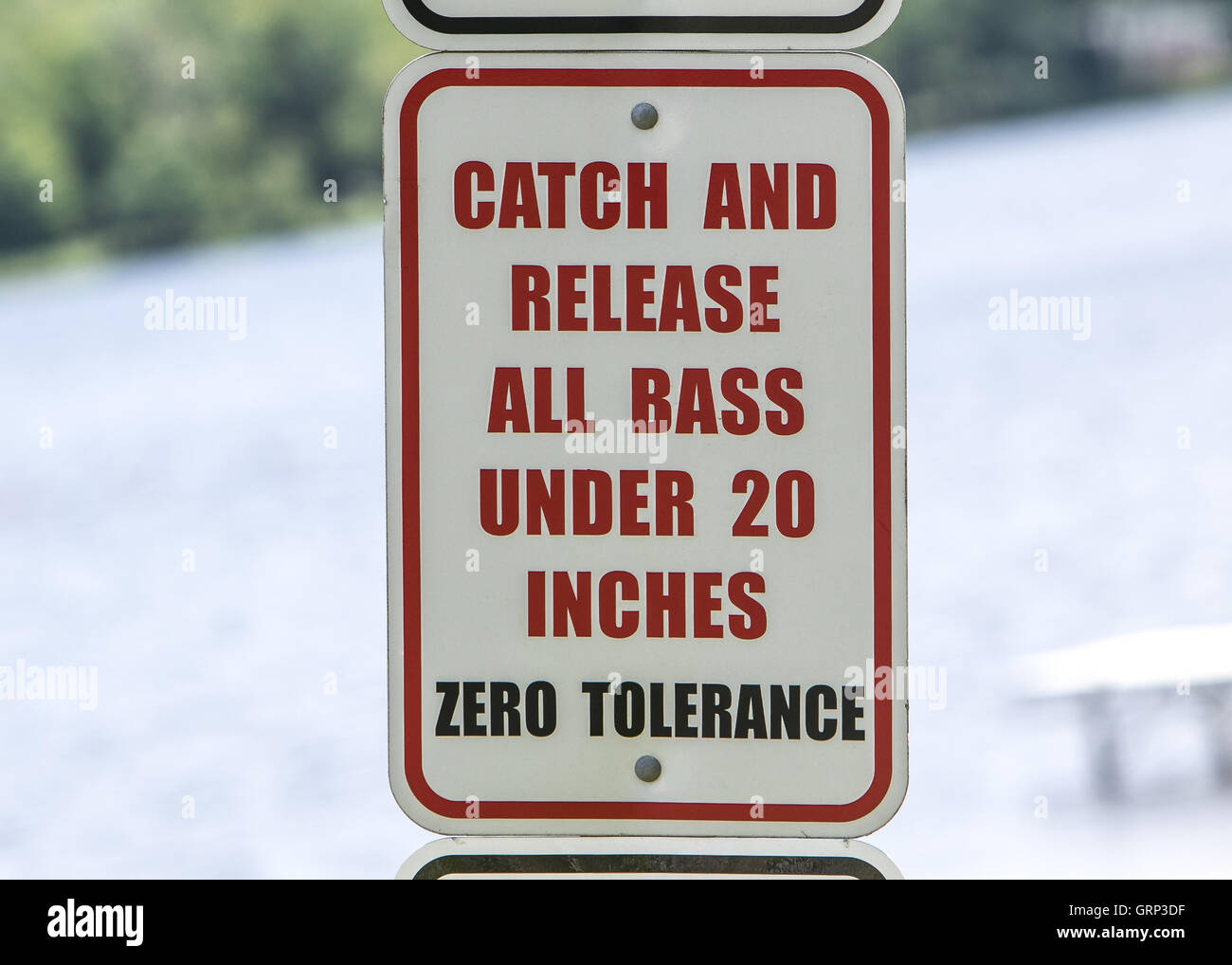Ein "Catch and release alle Bass unter zwanzig Zoll" Zeichen. Stockfoto