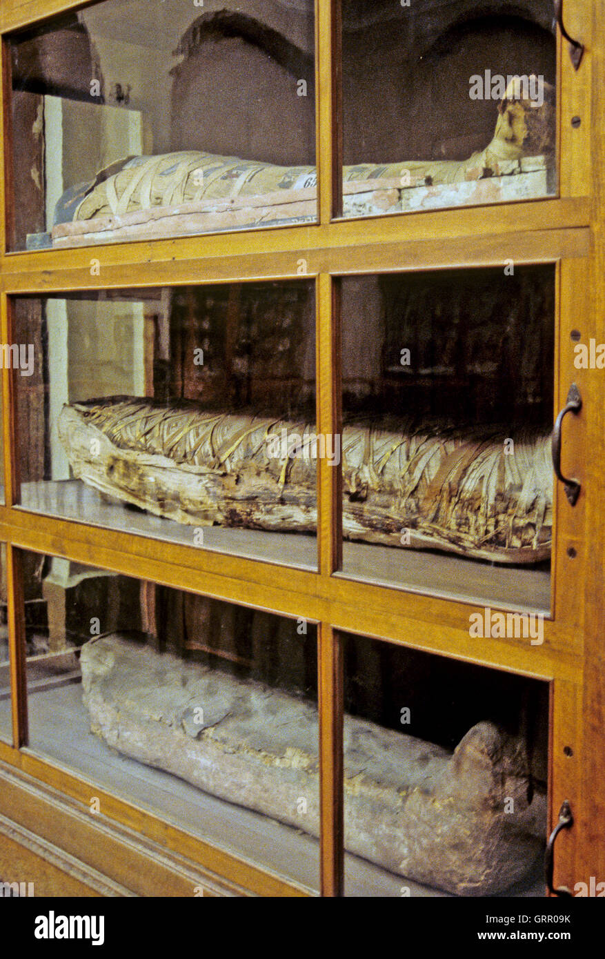 Drei Mumien, Museum of Antiquities, Kairo, Ägypten Stockfoto