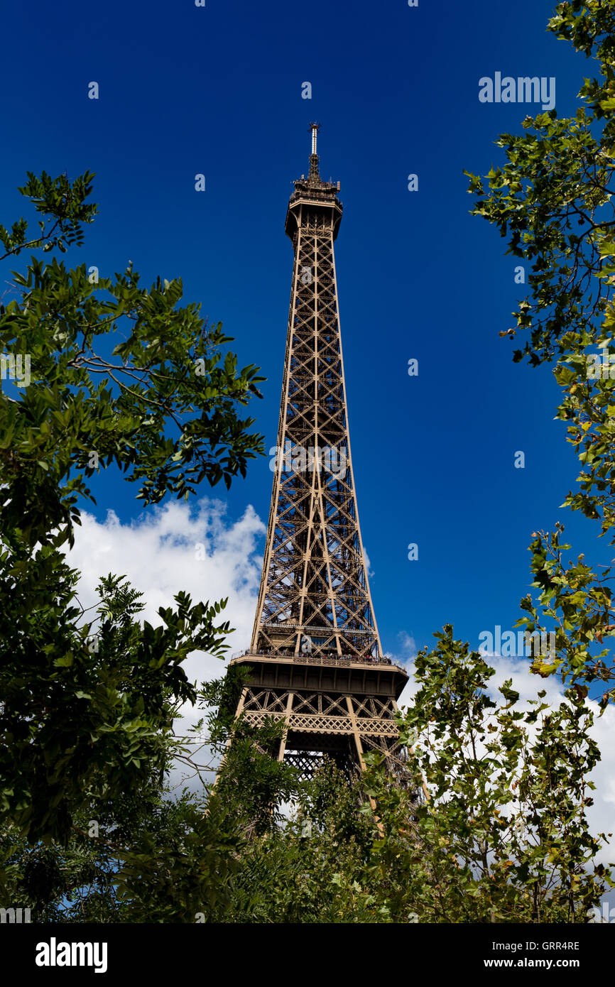 Tour Eiffel, Bäume, klarer Himmel Stockfoto