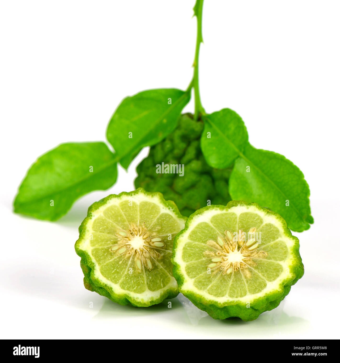 Frische Früchte und Blätter Kiffir Kalk oder Blutegel Limette (Citrus Hystrix DC.) auf weißem Grund. Stockfoto