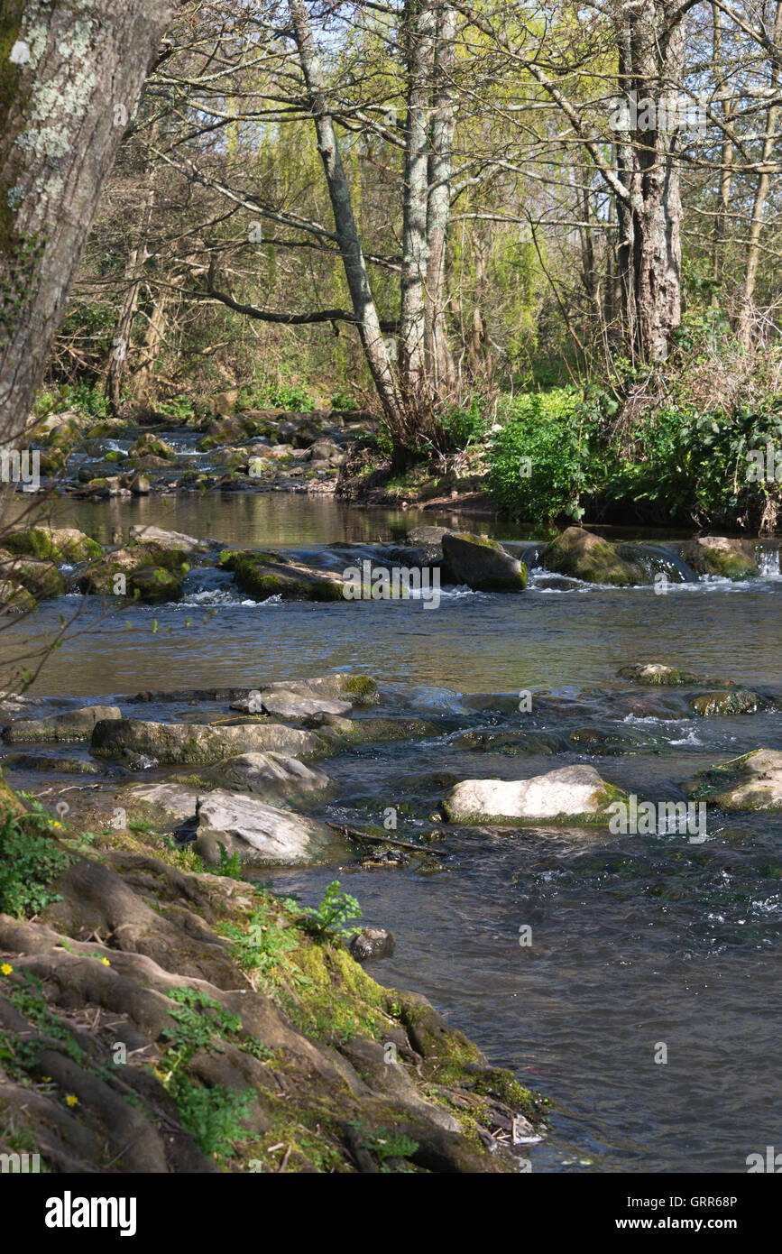 Unten am Ufer des Flusses Sid in Margarets Wiese, Teil von The Byes Riverside Park in Sidmouth an Devons jurassic Coast Stockfoto