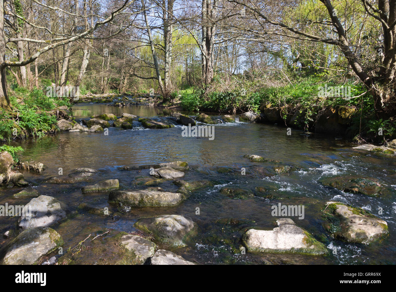 Unten am Ufer des Flusses Sid in Margarets Wiese, Teil von The Byes Riverside Park in Sidmouth an Devons jurassic Coast Stockfoto