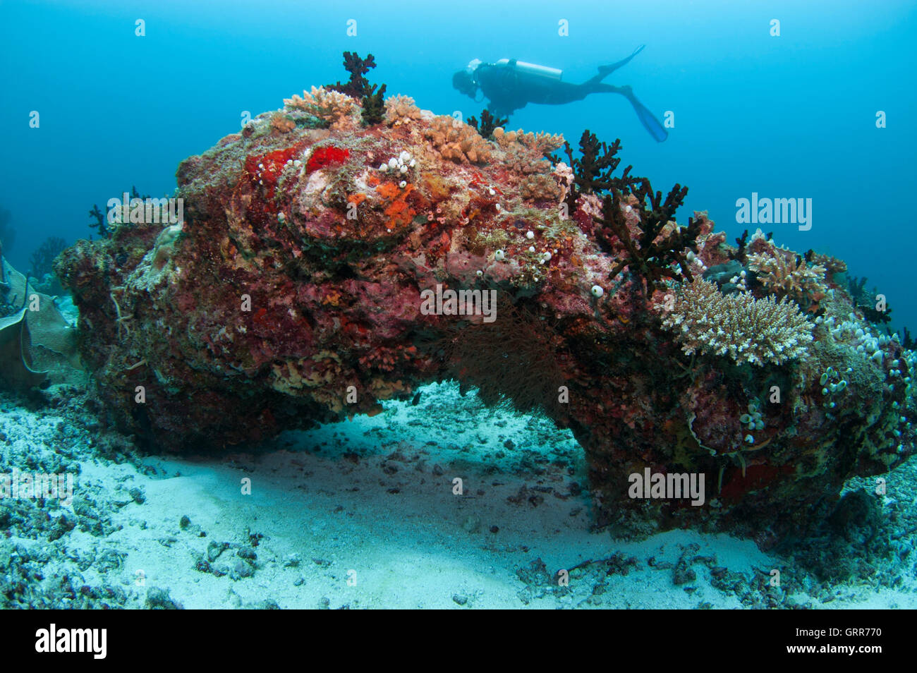 Großen isolierte Felsen mit übermäßiges Wachstum von Korallen und bunten Algen. Stockfoto