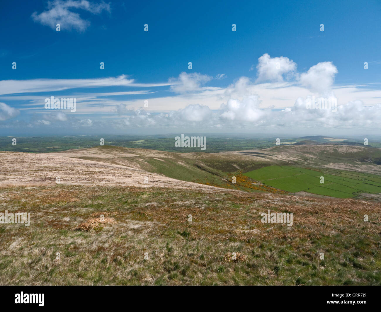 Den weiten Bogen von den Preseli Hills in Pembrokeshire, läuft östlich von Foel Cwmcerwyn bis Foeldrygarn Stockfoto