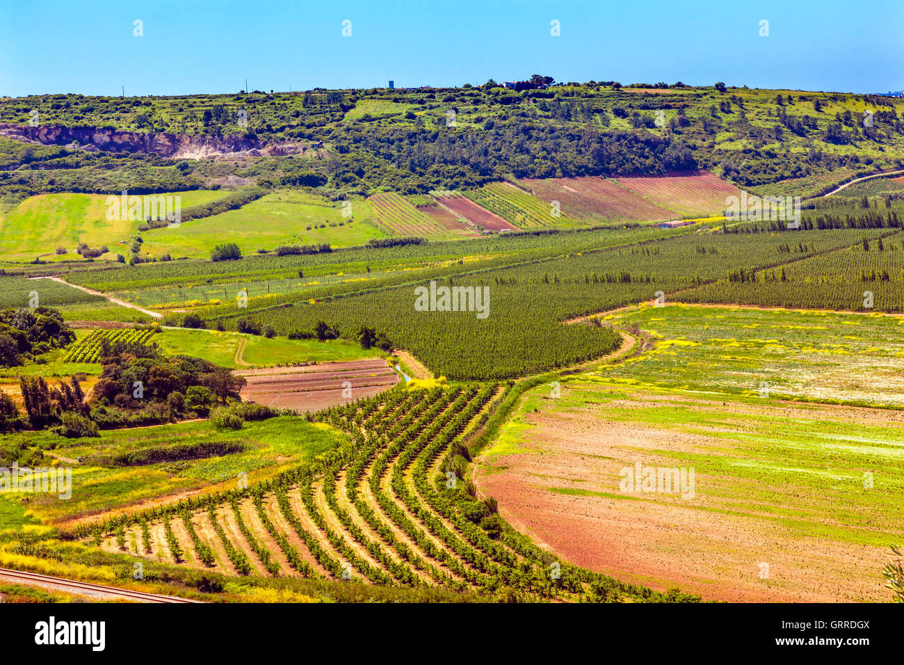 Landschaft Ackerland betrieben Landwirtschaft Óbidos Portugal. Stockfoto