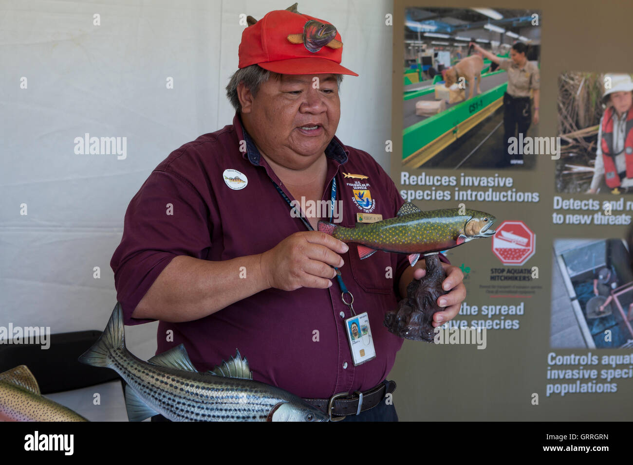 Uns Fisch und Wildlife Service Vertreter Informationen über Süßwasserfische in Nordamerika - USA Stockfoto