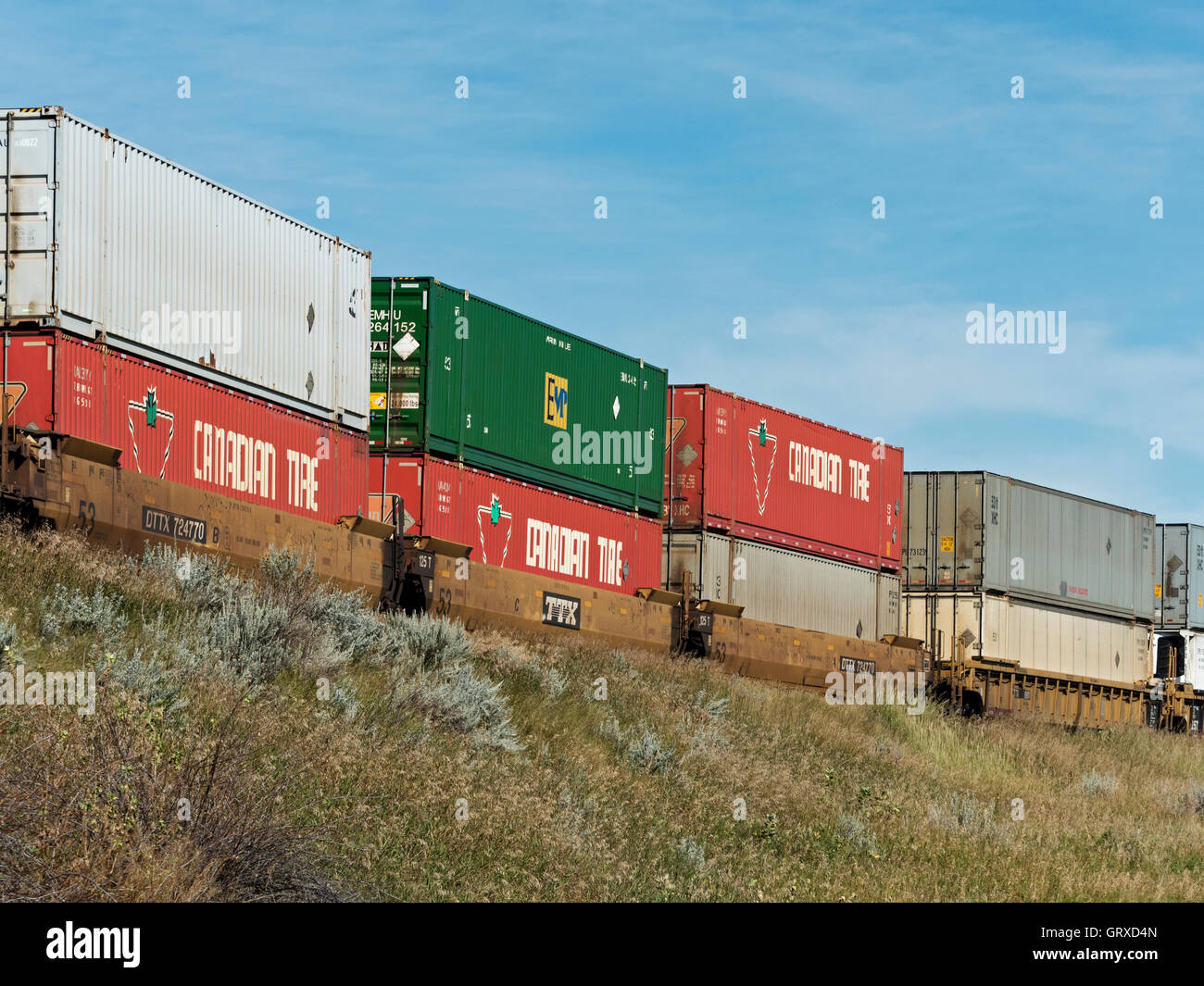 Intermodalen Container auf einem Güterzug der Canadian Pacific Railway, Medicine Hat, Alberta, Kanada. Stockfoto