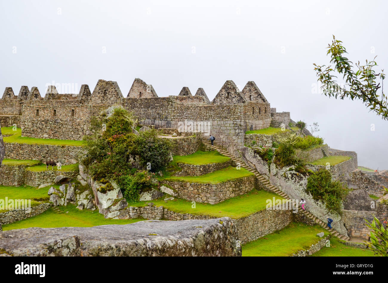 MACHU PICCHU, CUSCO REGION, PERU - 4. Juni 2013: Details des Wohngebietes von 15. Jahrhundert Inka-Zitadelle Machu Picchu Stockfoto