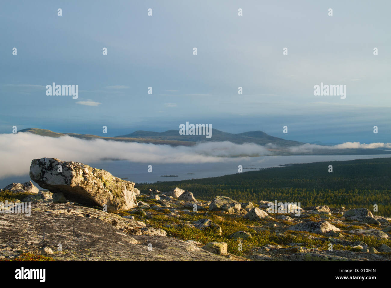 Findlinge, Felsen zurückgelassen, als das Eis, in geschmolzen Femundsmarka Nationalpark, Norwegen Stockfoto