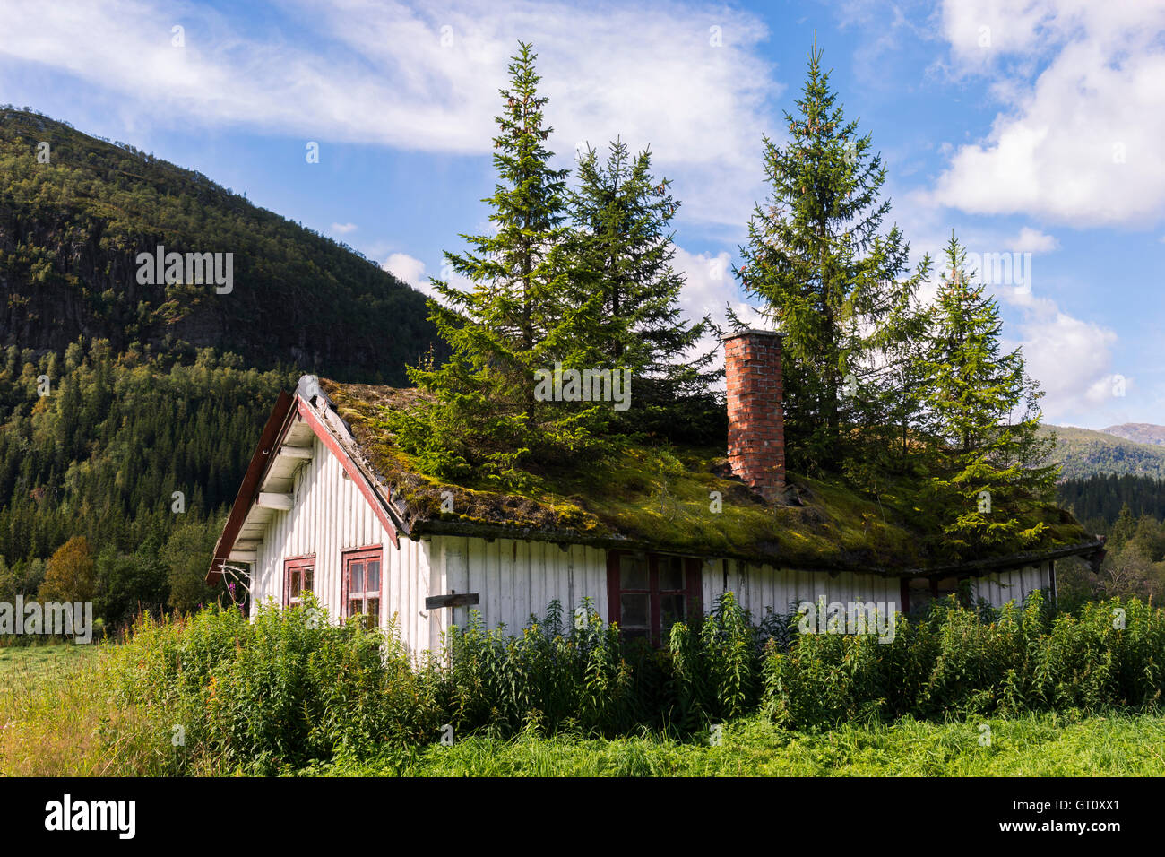 Haus mit Tannen auf Dach in TÜV in Norwegen Stockfoto