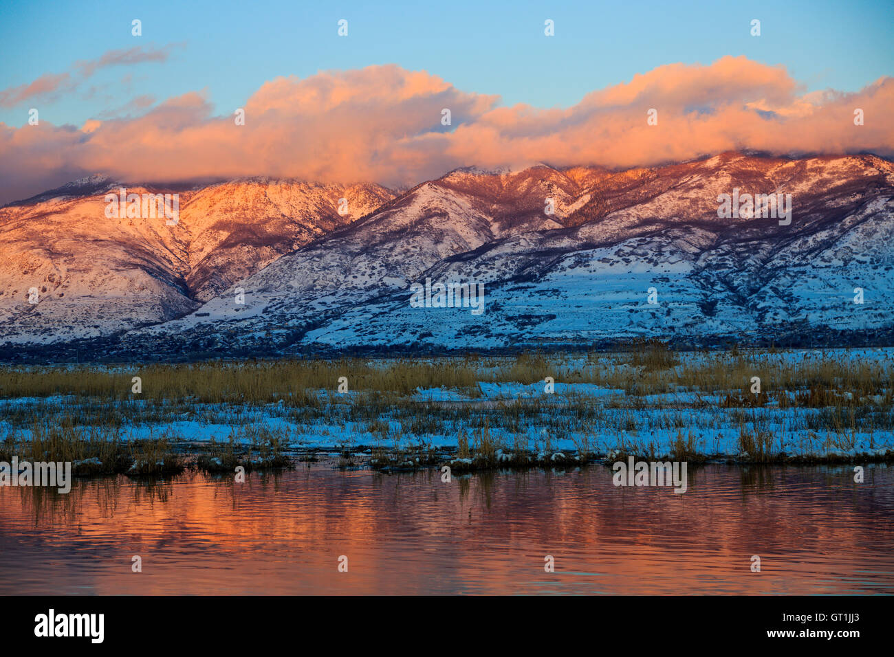 Die Wasatch Berge spiegeln auf dem offenen Wasser in Farmington Bay Wasservögel Management Area, Farmington Utah USA Stockfoto