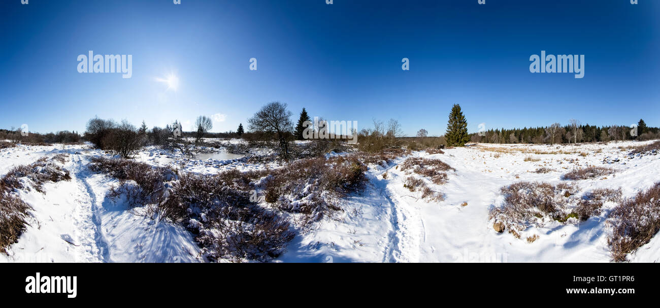 Panorama von der Brackvenn in der Nähe von Mützenich, Eifel, Belgien Stockfoto