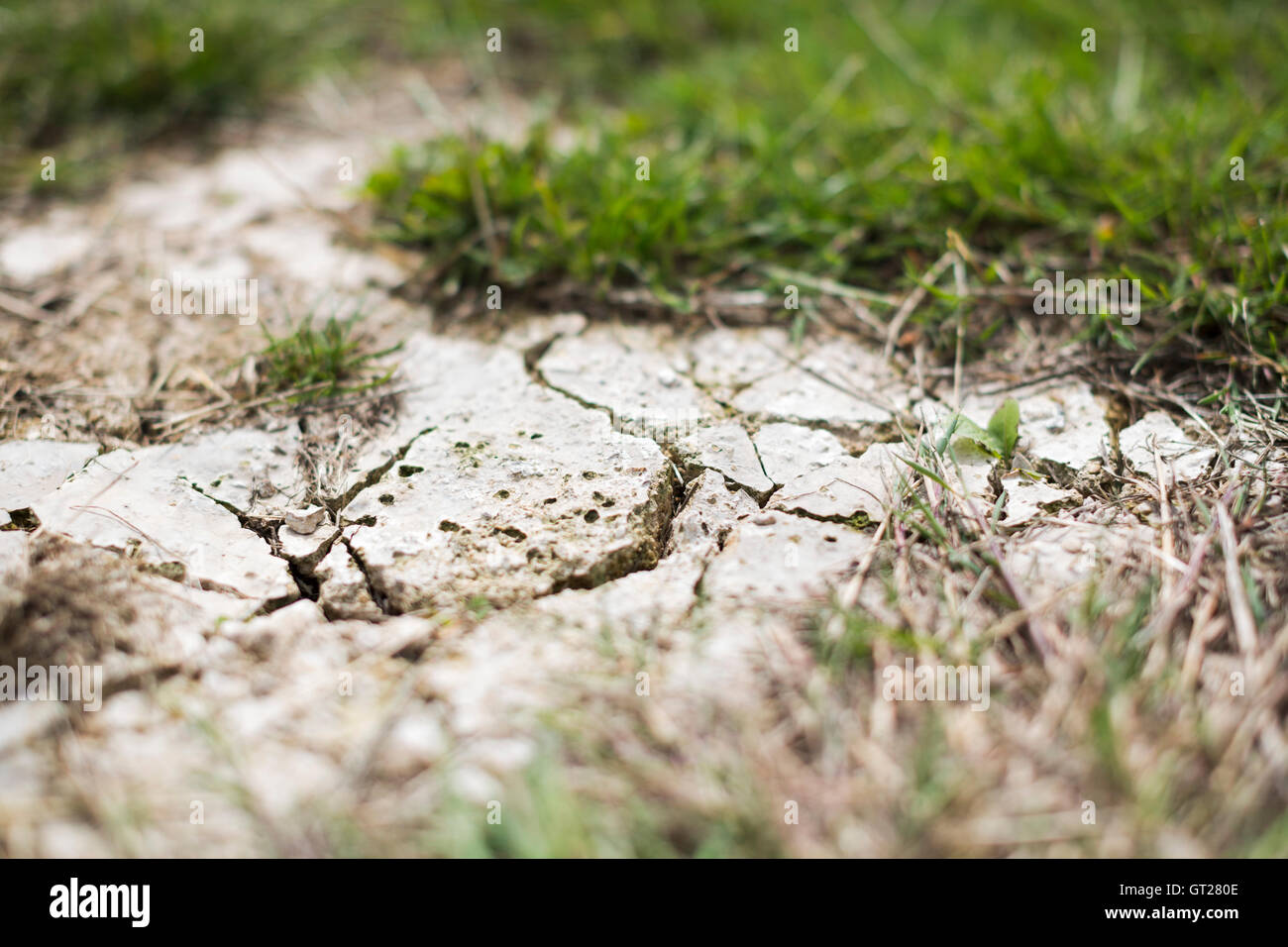 Öffnen Sie in trockene, ausgedörrte Erde Risse während einer Dürre. Stockfoto