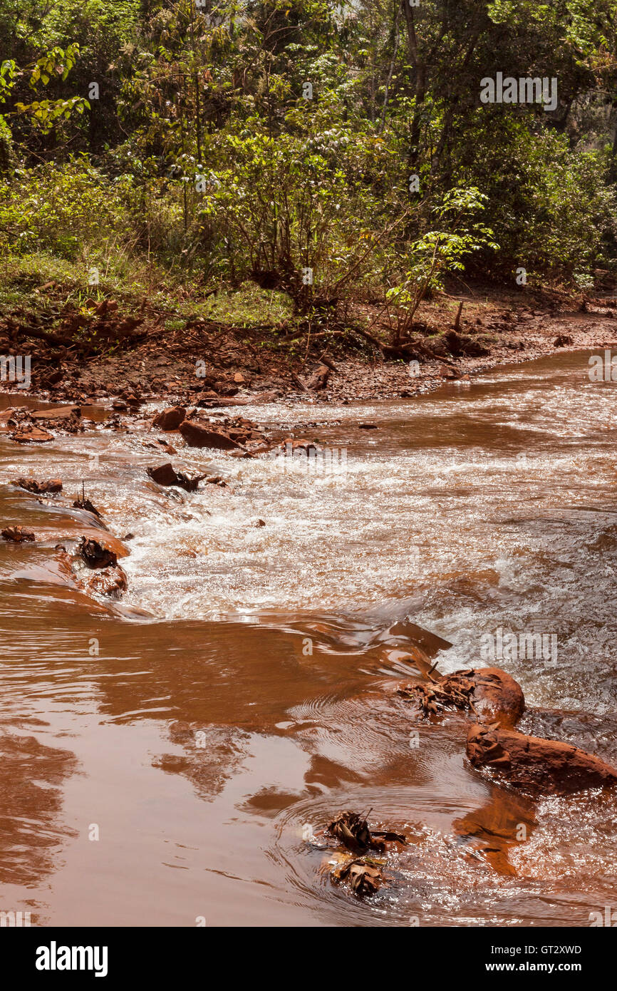 Die üppige Vegetation im afrikanischen Busch entlang den Ufern der Tonkolili Fluss in Sierra Leone. Das saubere Wasser ist hier als eine Ressource auf die Mine verwendet Stockfoto