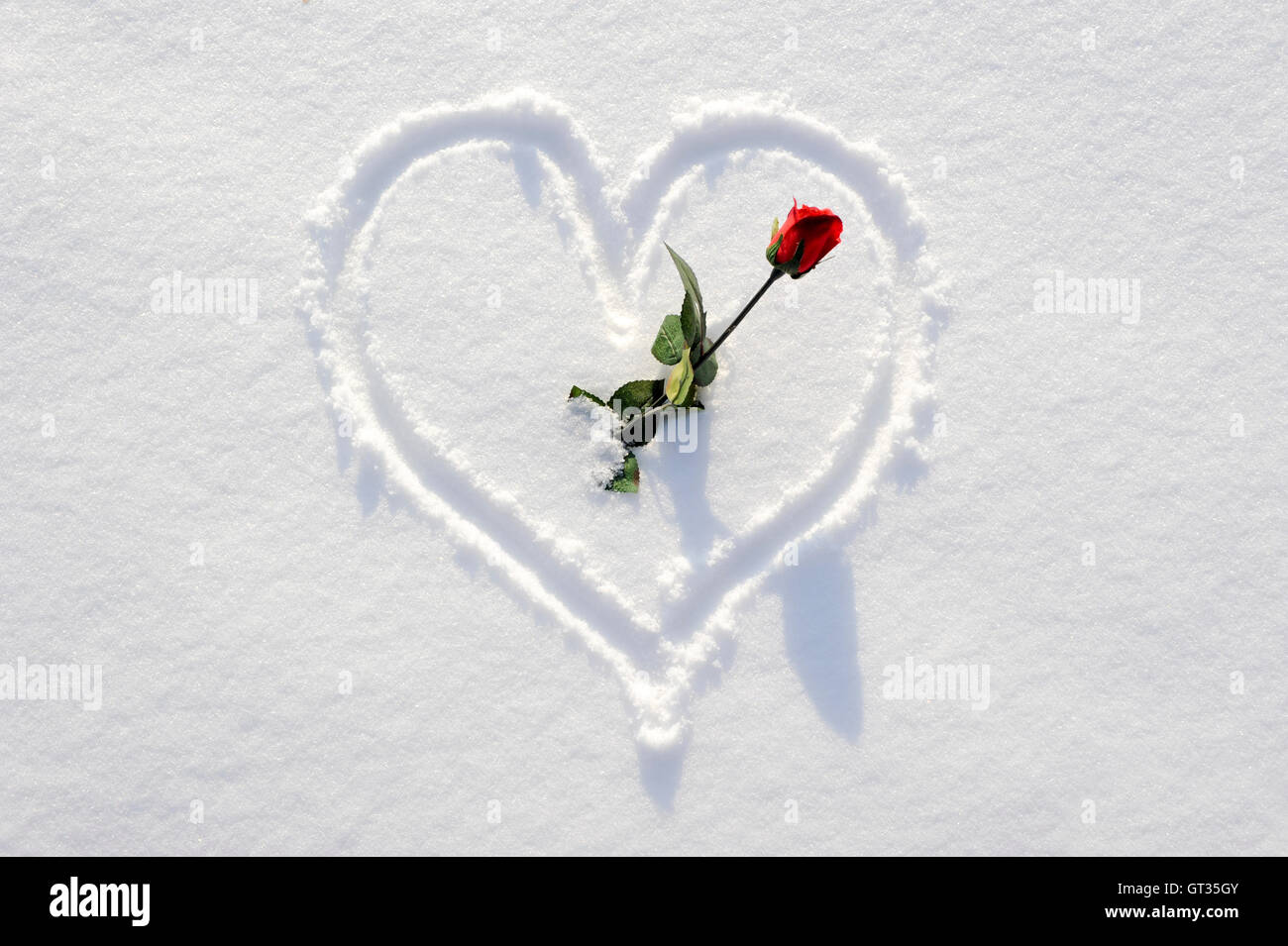 Herz mit Rose als Symbol für die Liebe im Schnee geschrieben Stockfoto