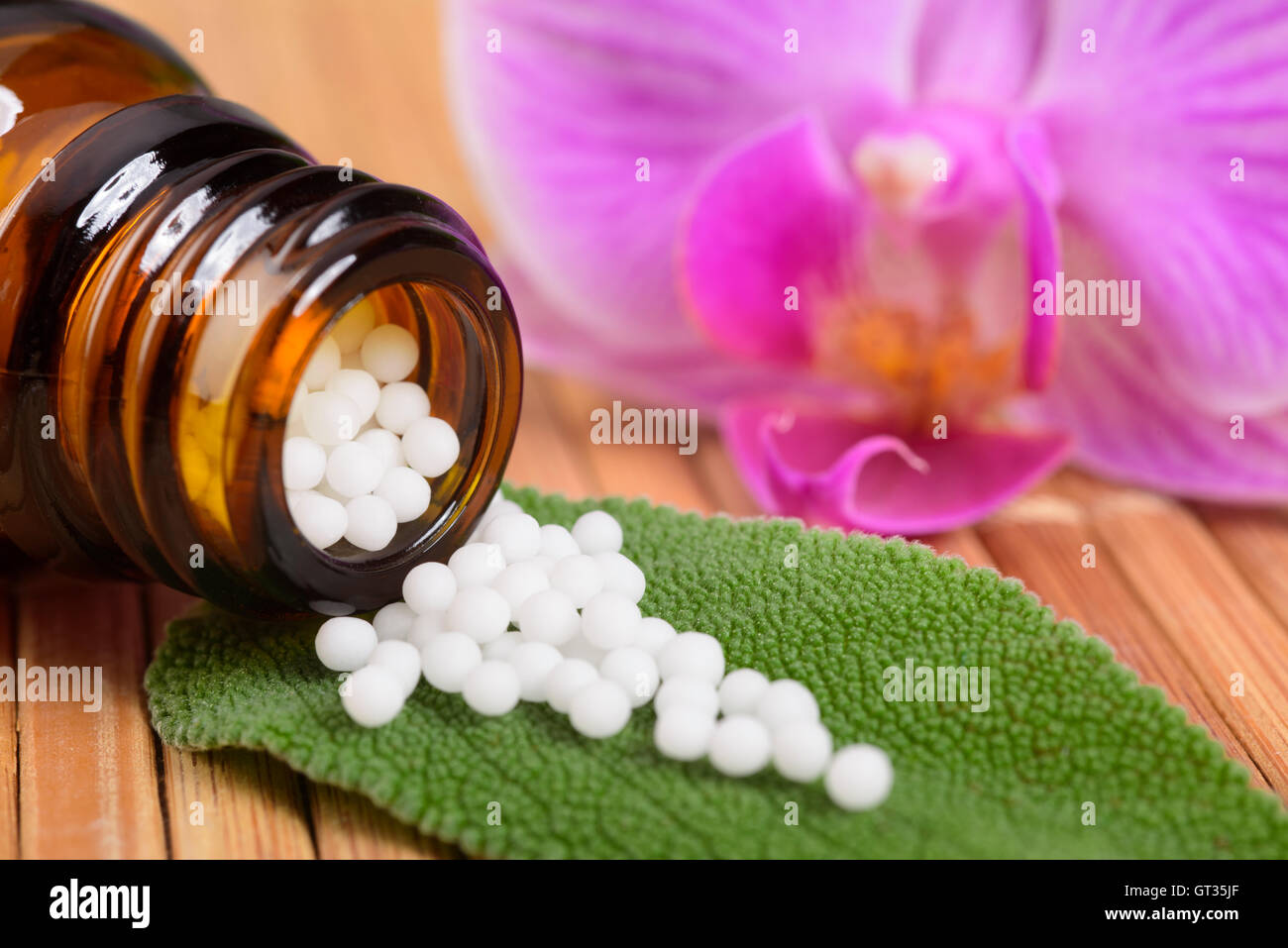 Alternative Medizin mit pflanzlichen und homöopathischen Pillen Stockfoto