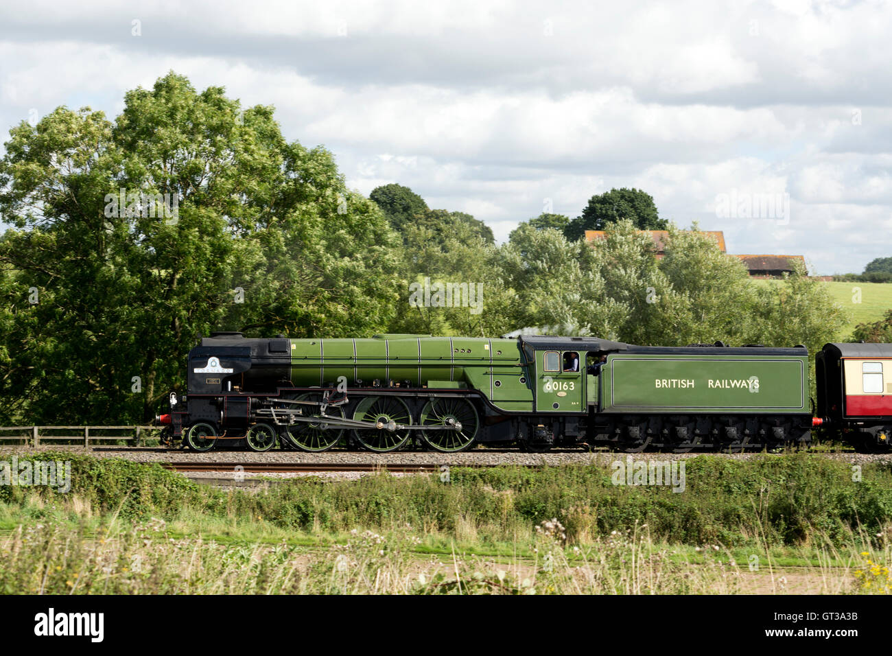 LNER Peppercorn A1 Klasse Dampf Lok Nr. 60163 "Tornado" bei Hatton, Warwickshire, England, UK Stockfoto