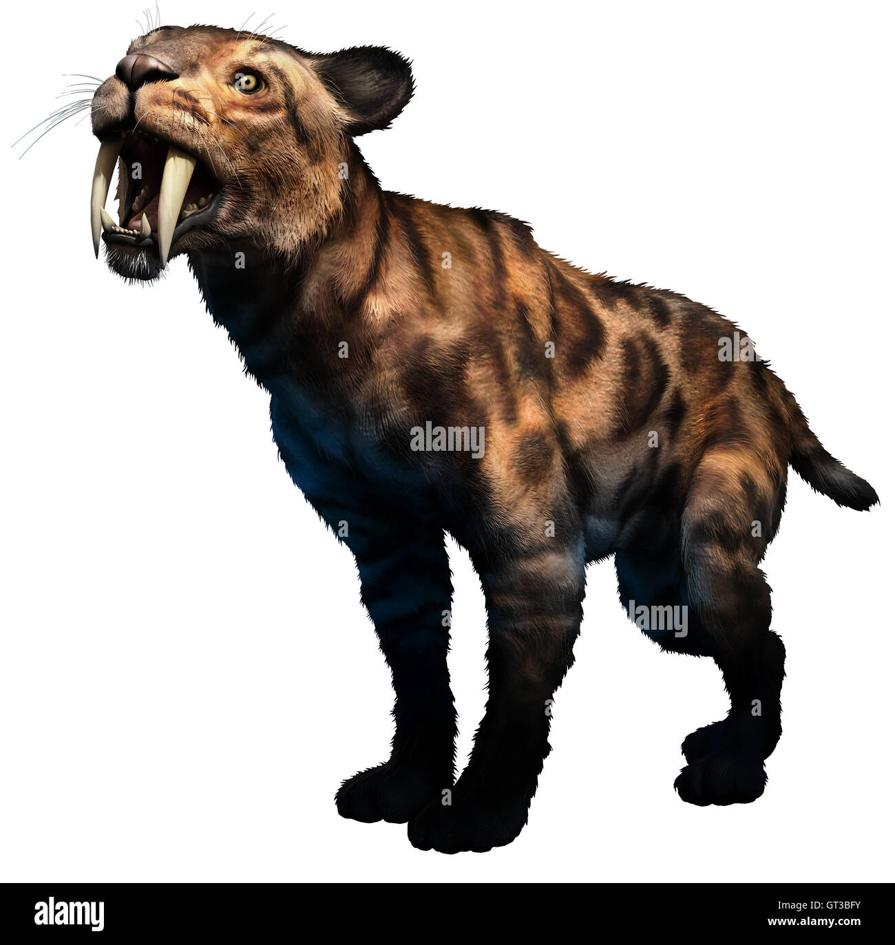 Smilodon cat Fotos und Bildmaterial in hoher Auflösung Alamy