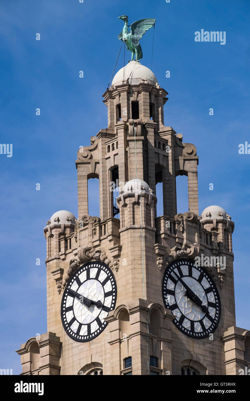 Uhrturm mit einem Leber-Vogel auf das Royal Liver Building entworfen von Carl Bernard Bartels Pier Head Liverpool Stockfoto