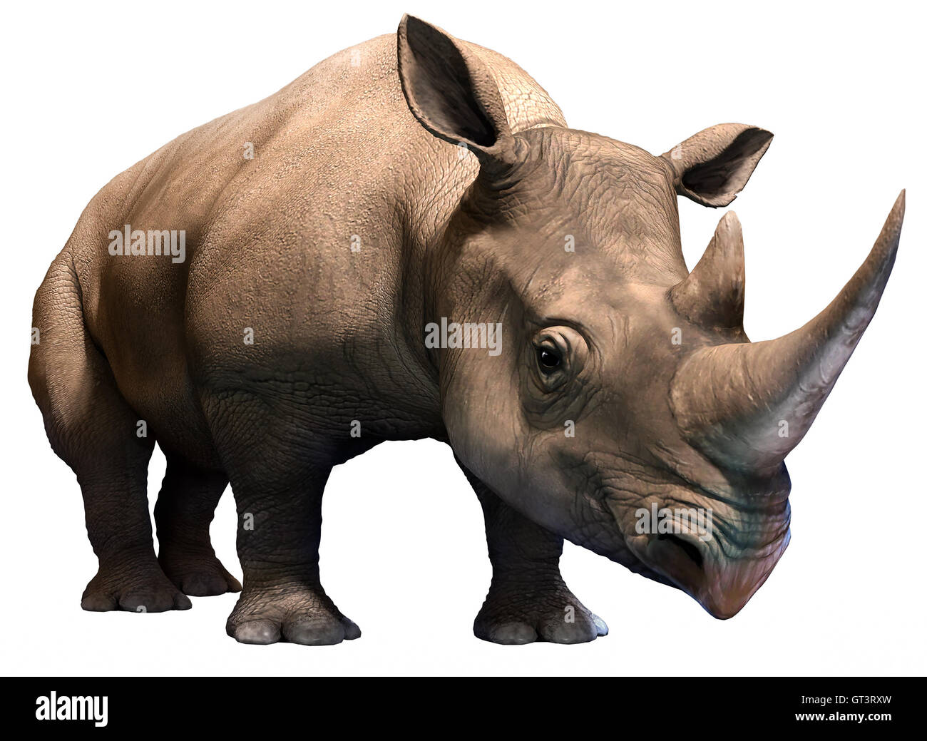 Rhino Stockfoto