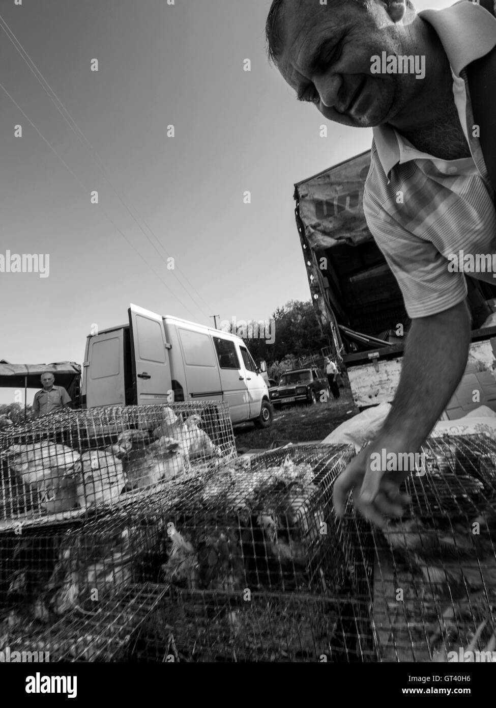 Im mittleren Alter Mann in kurzen Hosen verkauft Hühner auf Haustiere-Markt in der Stadt von Kosov, Ivano-Frankivsk Oblast, Ukraine Stockfoto