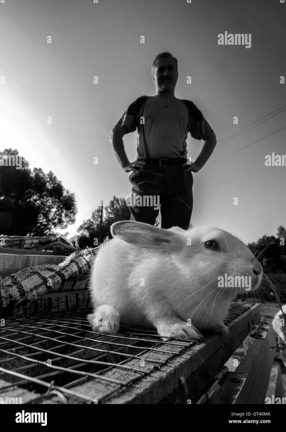 Mann verkauft weiße Kaninchen auf Haustiere-Markt in der Stadt von Kosov, Ivano-Frankivsk Oblast, Ukraine Stockfoto